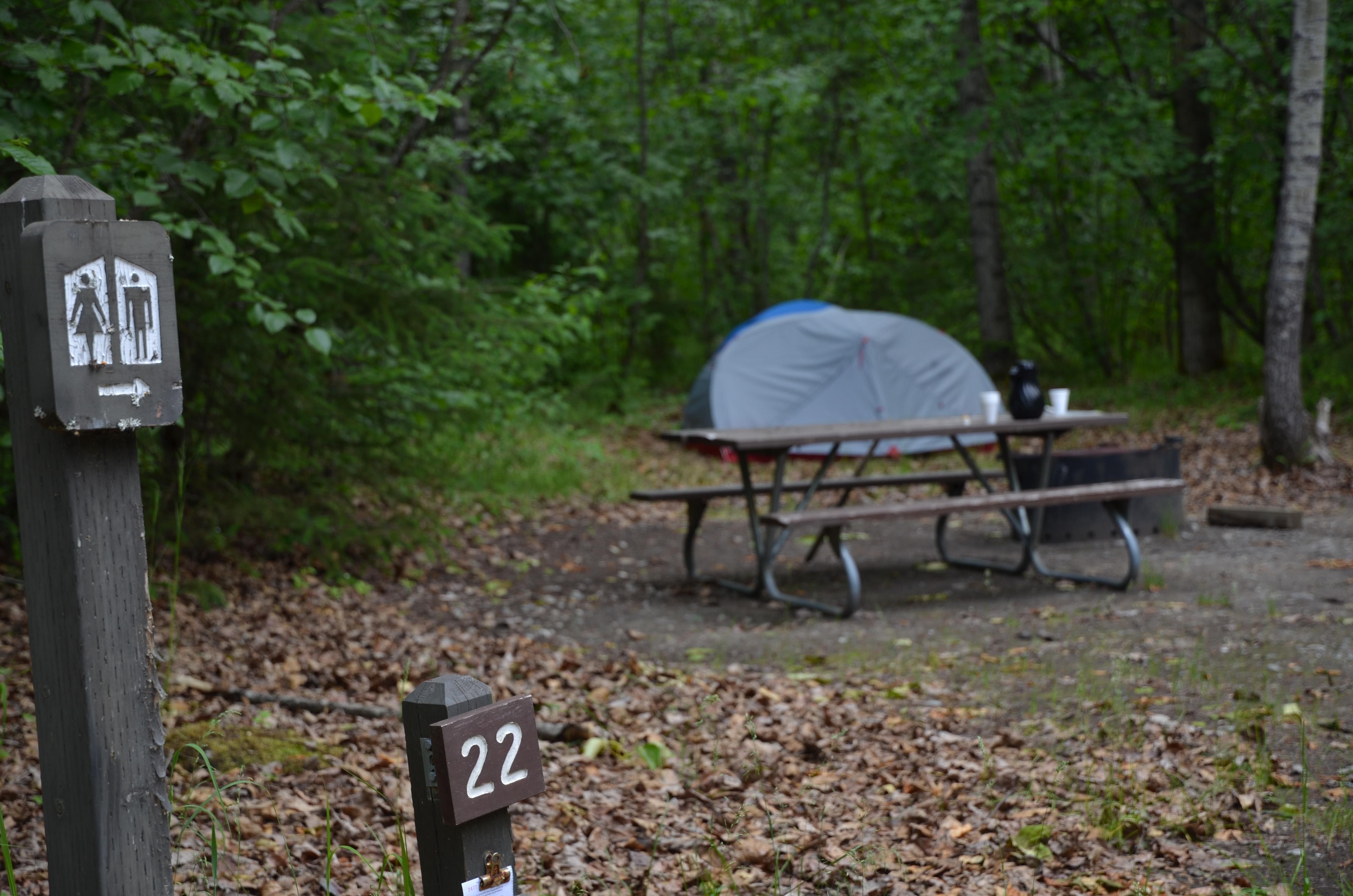 Dyea Campground campground photo