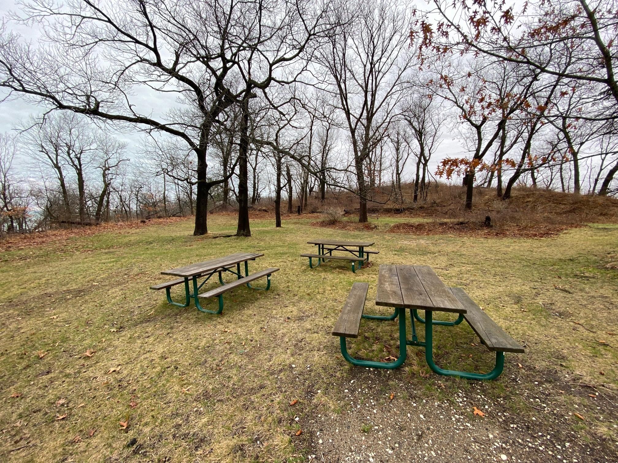 Dunbar Group Site campground photo
