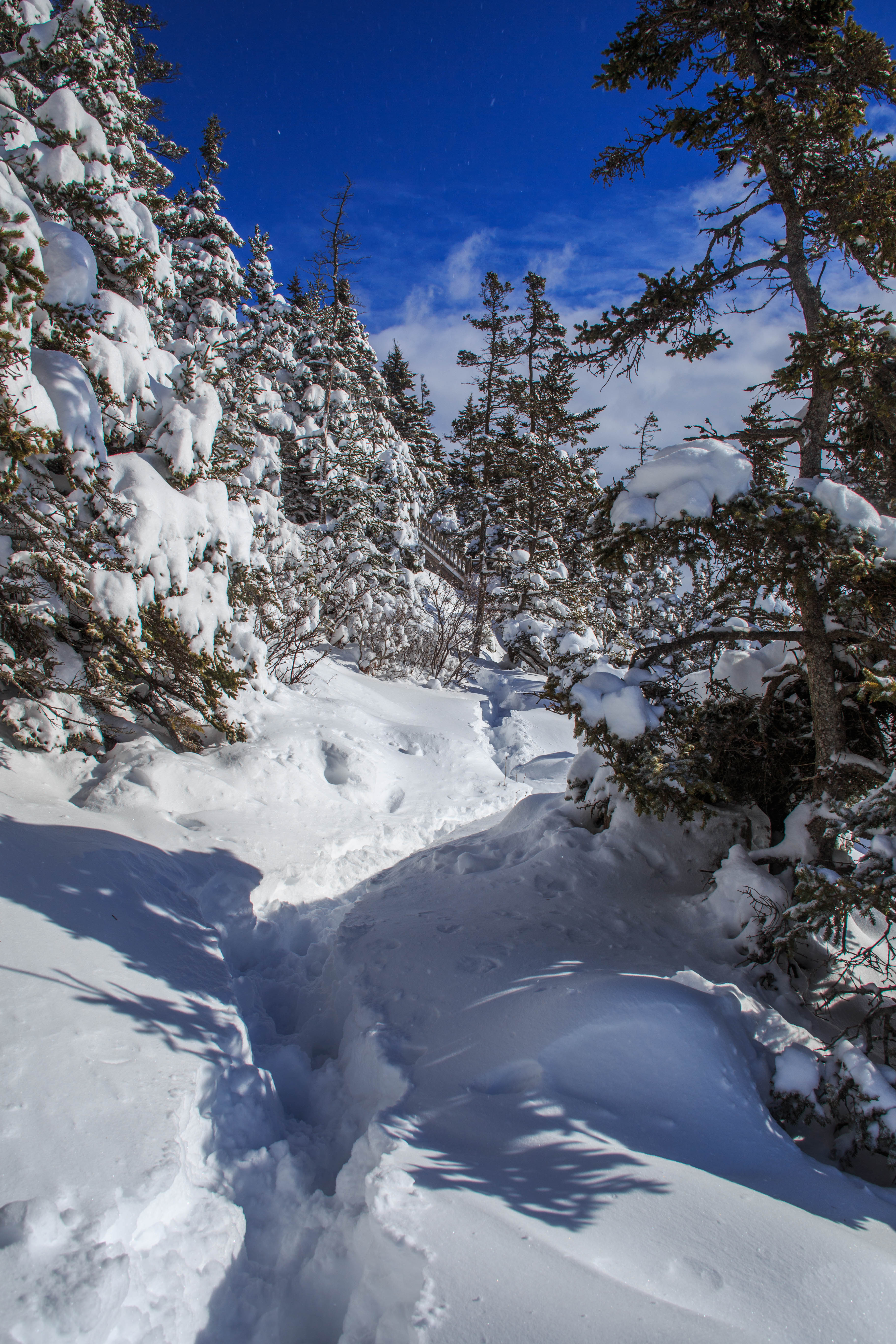 Duck Harbor Campground campground photo