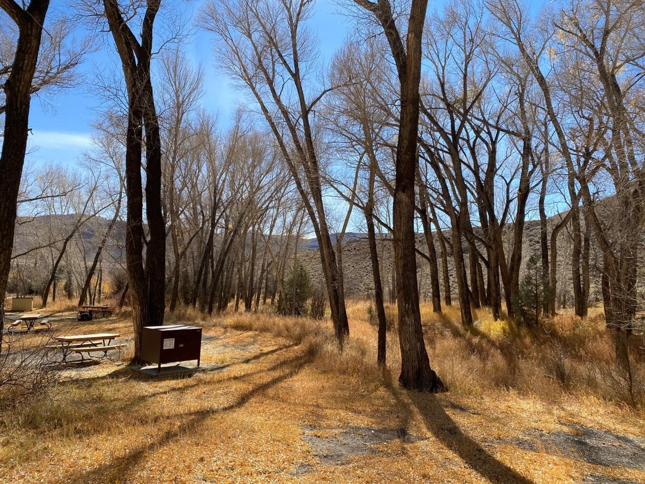 Dry Gulch Campground campground photo