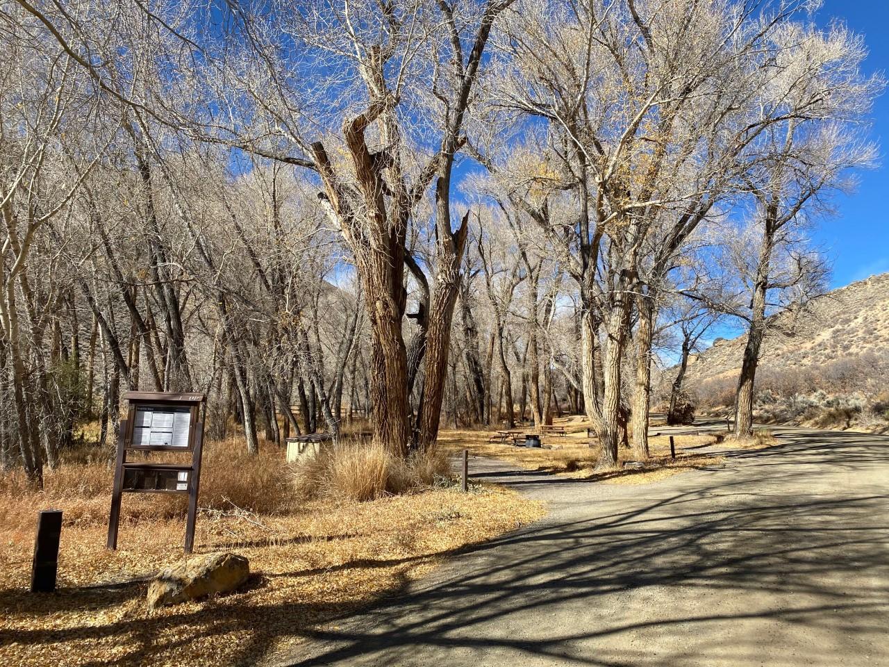 Dry Gulch Campground campground photo