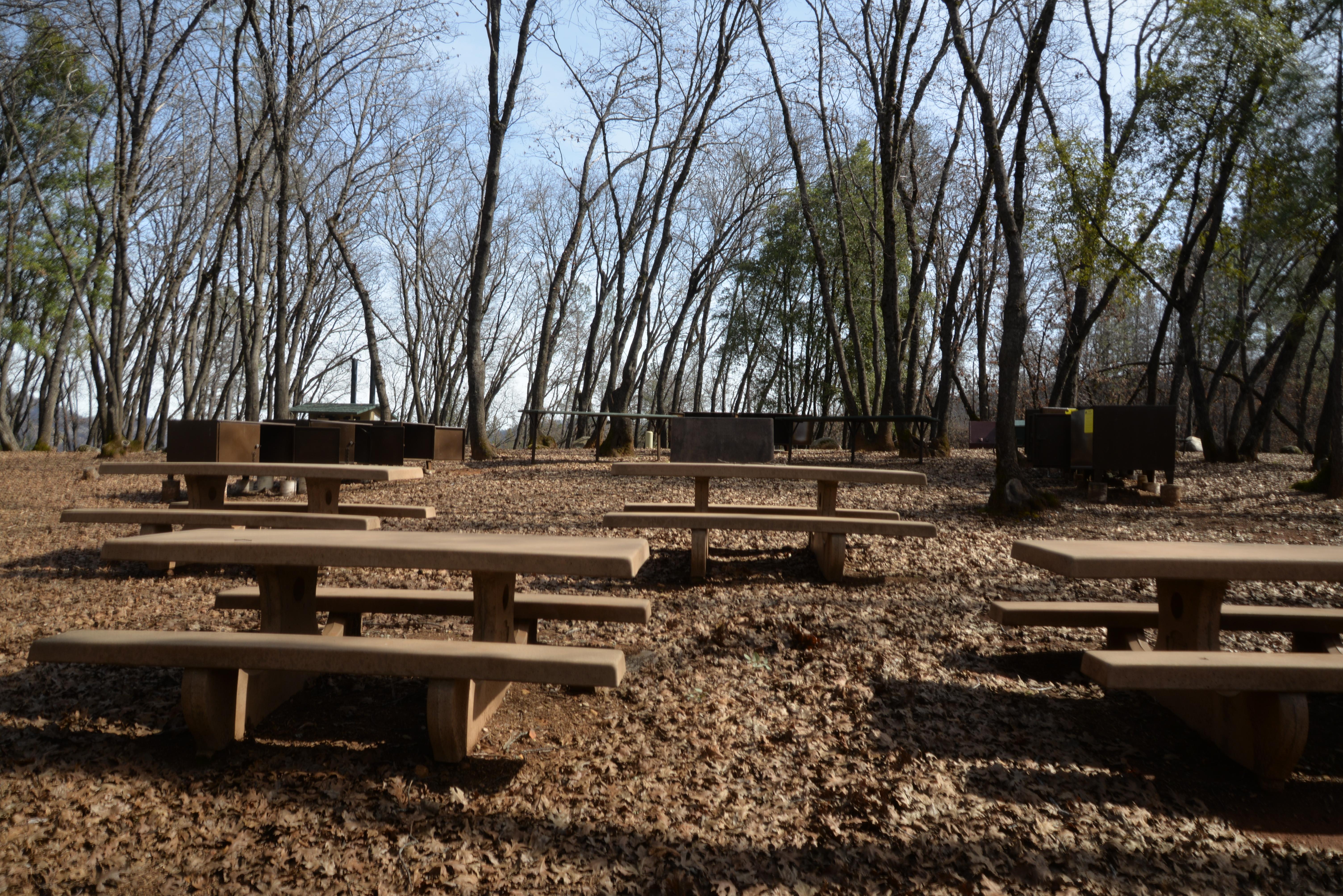 Dry Creek Group Campground campground photo