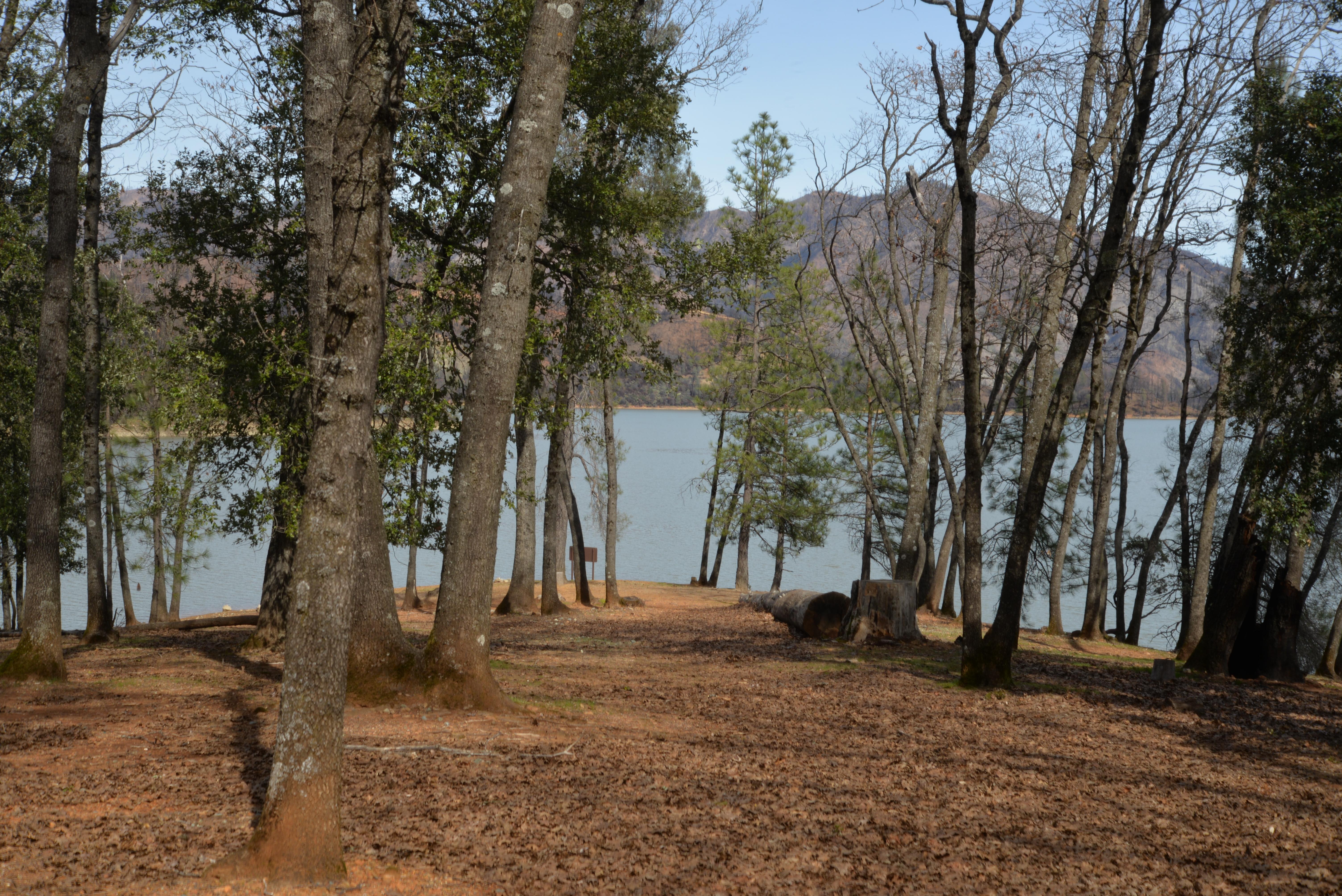 Dry Creek Group Campground campground photo