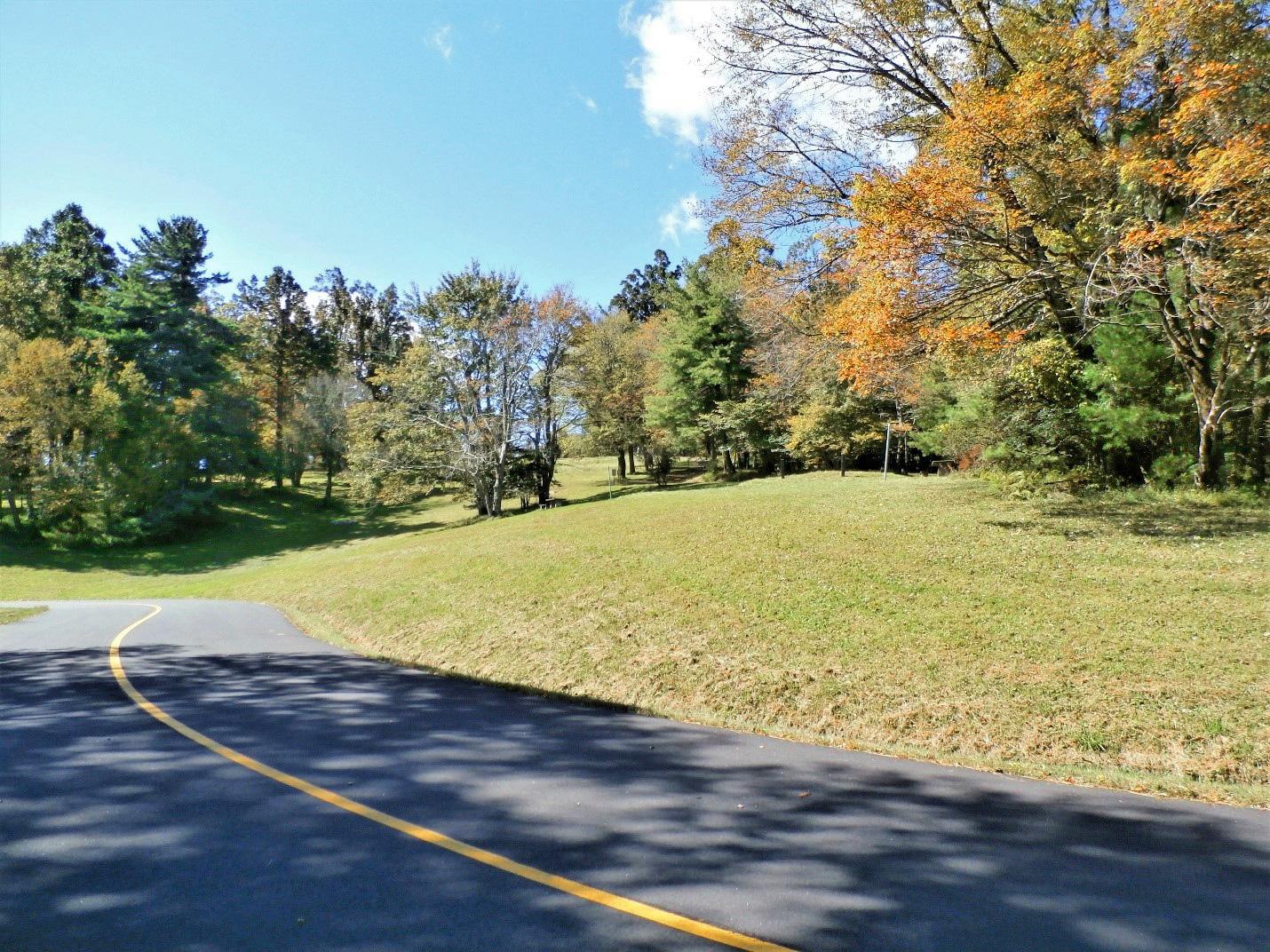 Doughton Park Campground campground photo