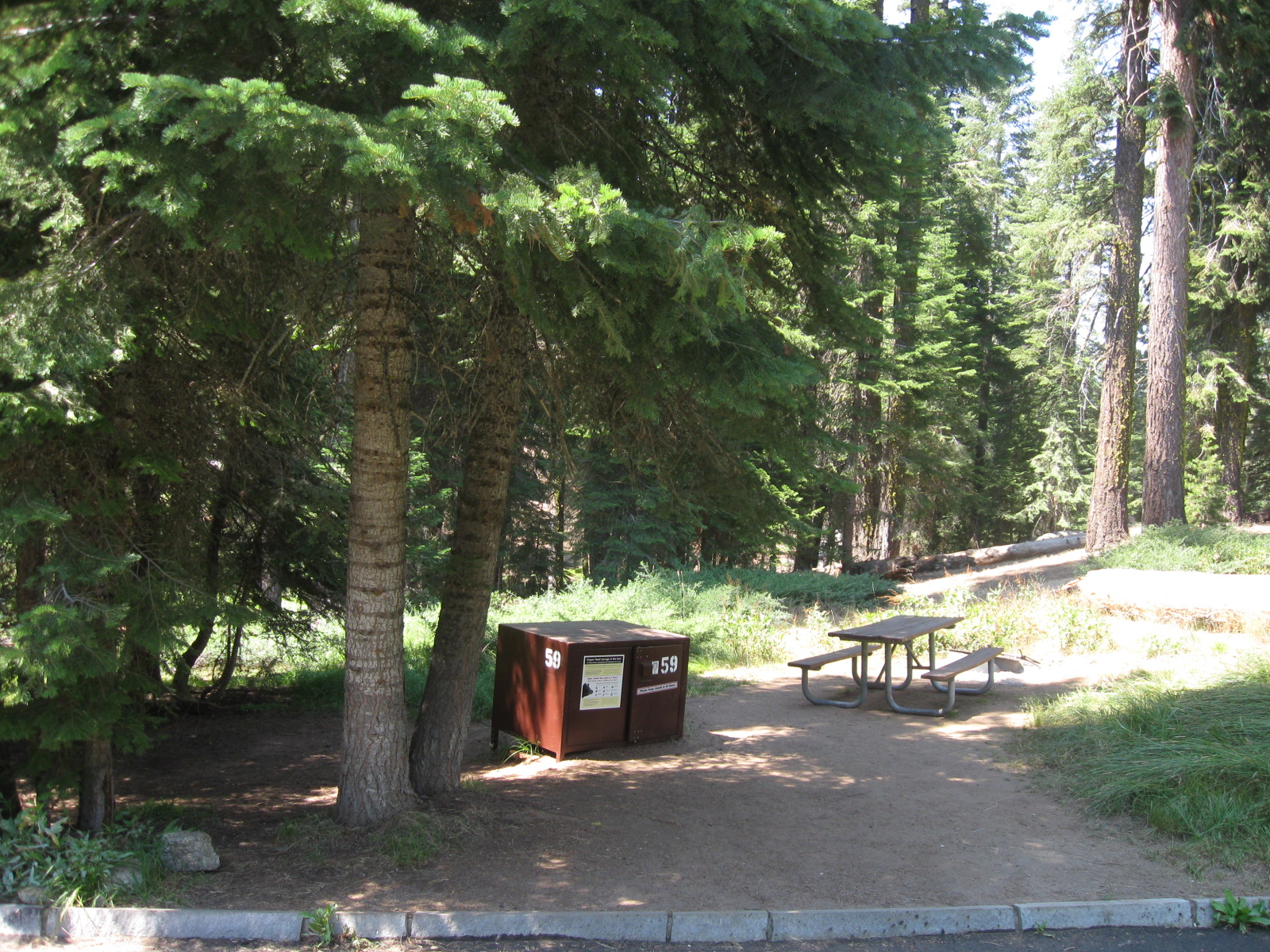 Dorst Creek Campground campground photo