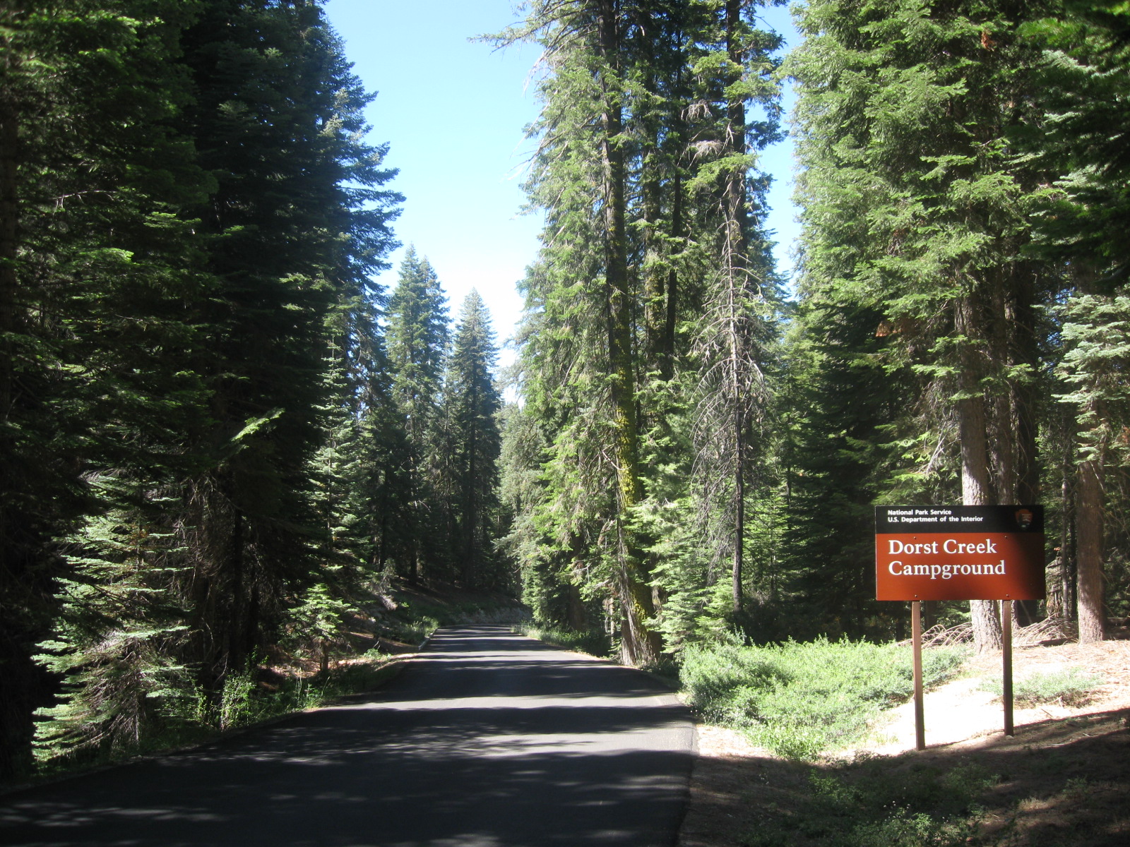 Dorst Creek Campground campground photo