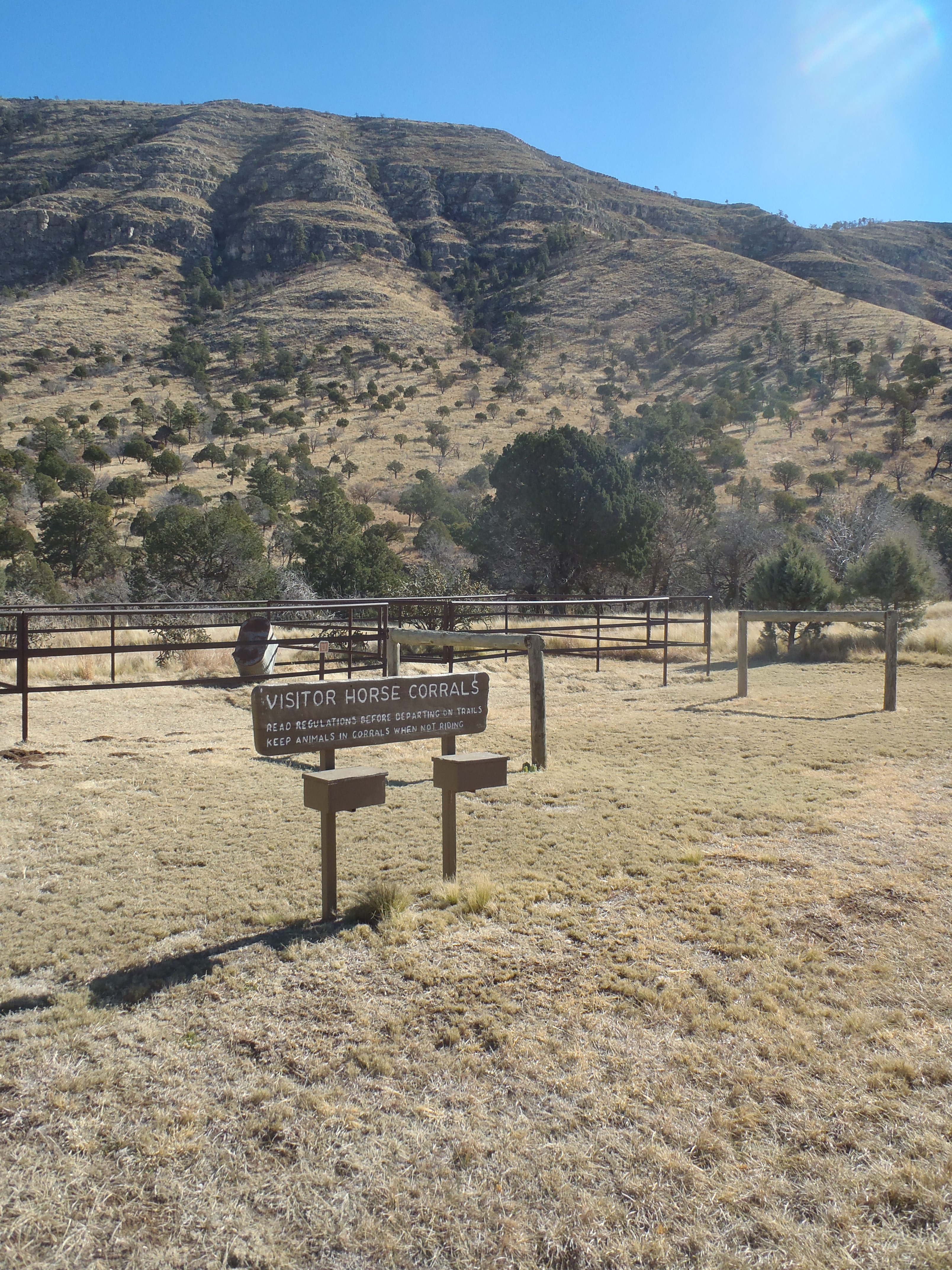Dog Canyon Campground campground photo