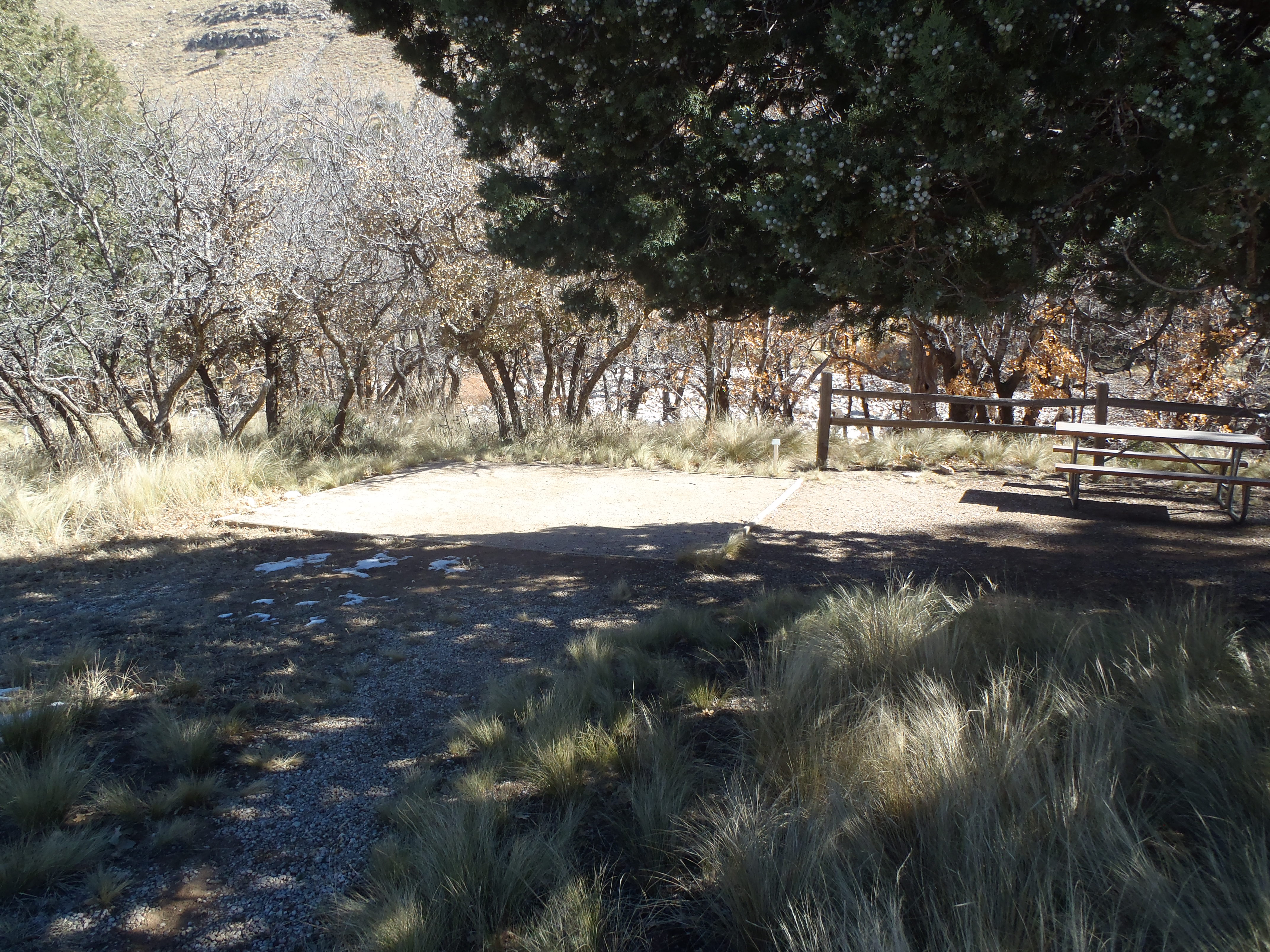 Dog Canyon Campground campground photo