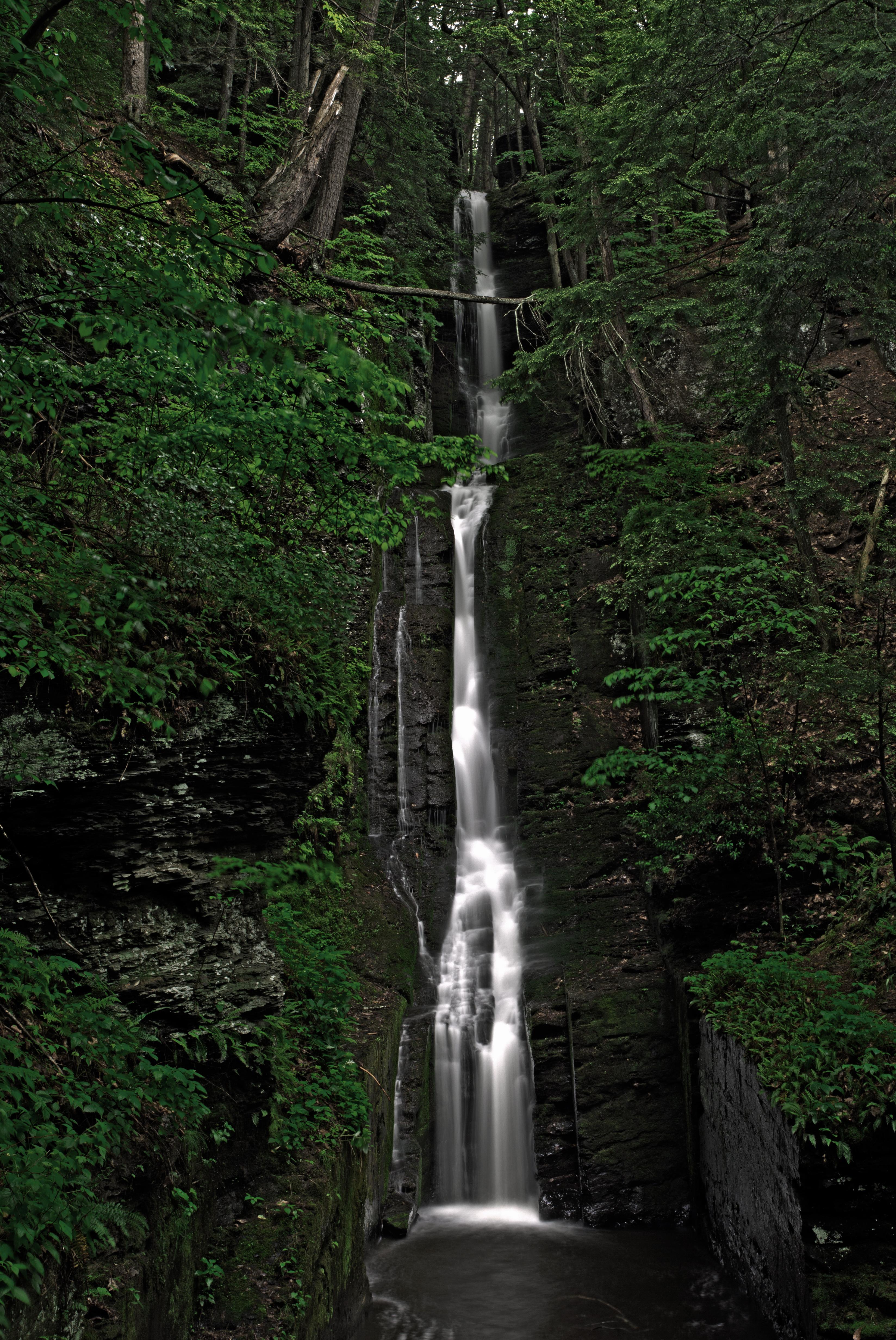 Camping scenery for New Jersey