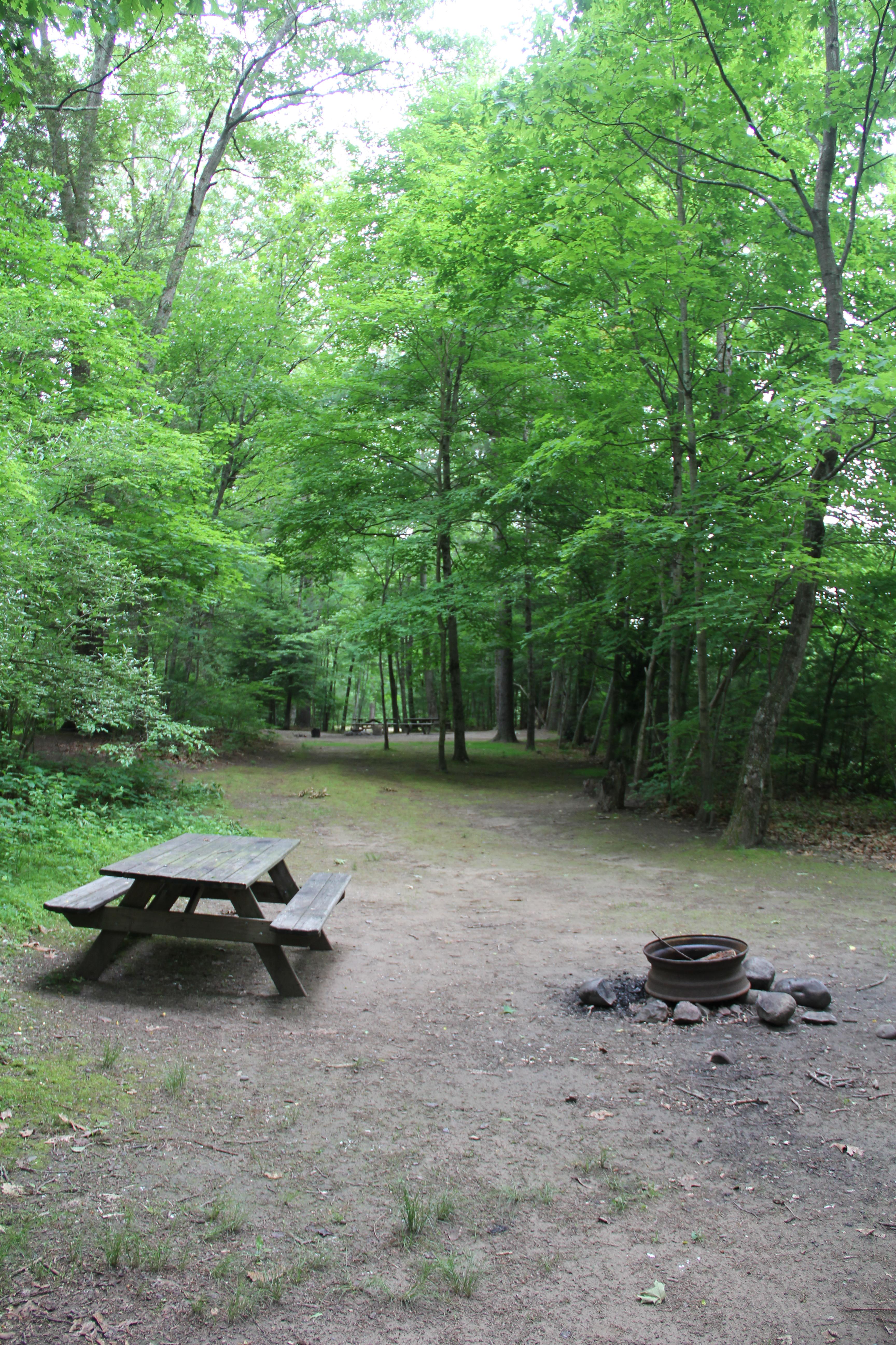 Dingmans Campground campground photo
