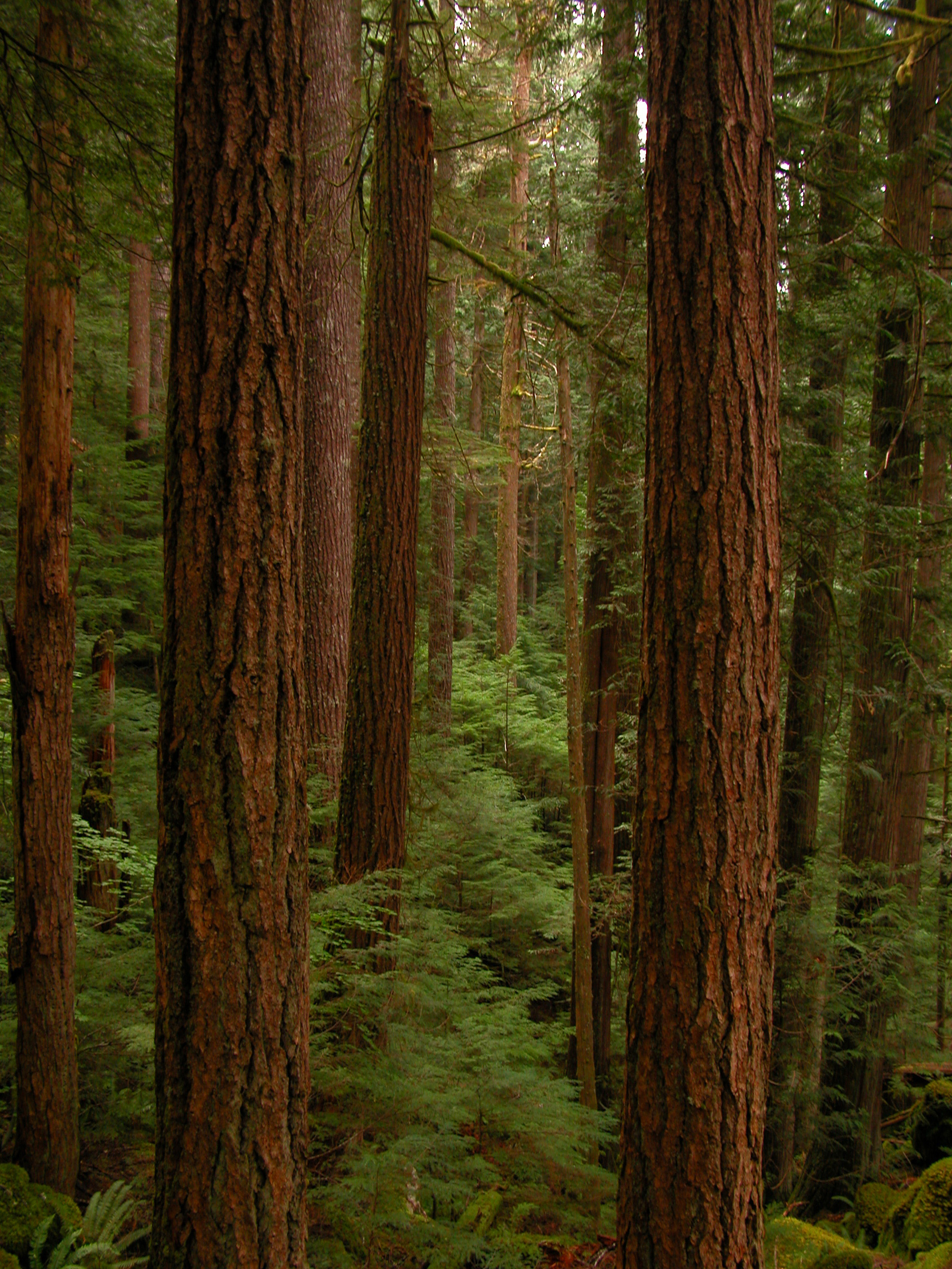Deer Park Campground campground photo