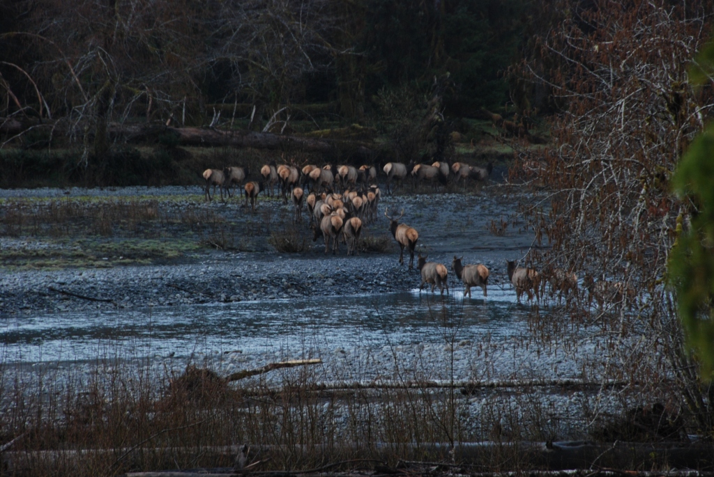 Deer Park Campground campground photo