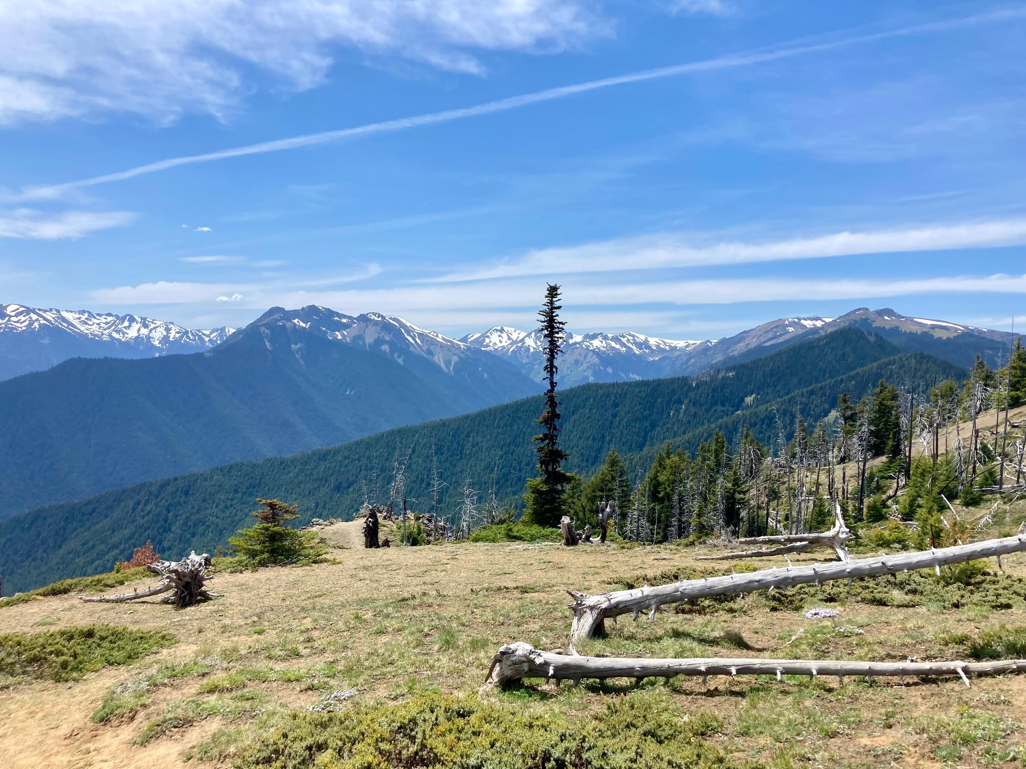 Deer Park Campground campground photo
