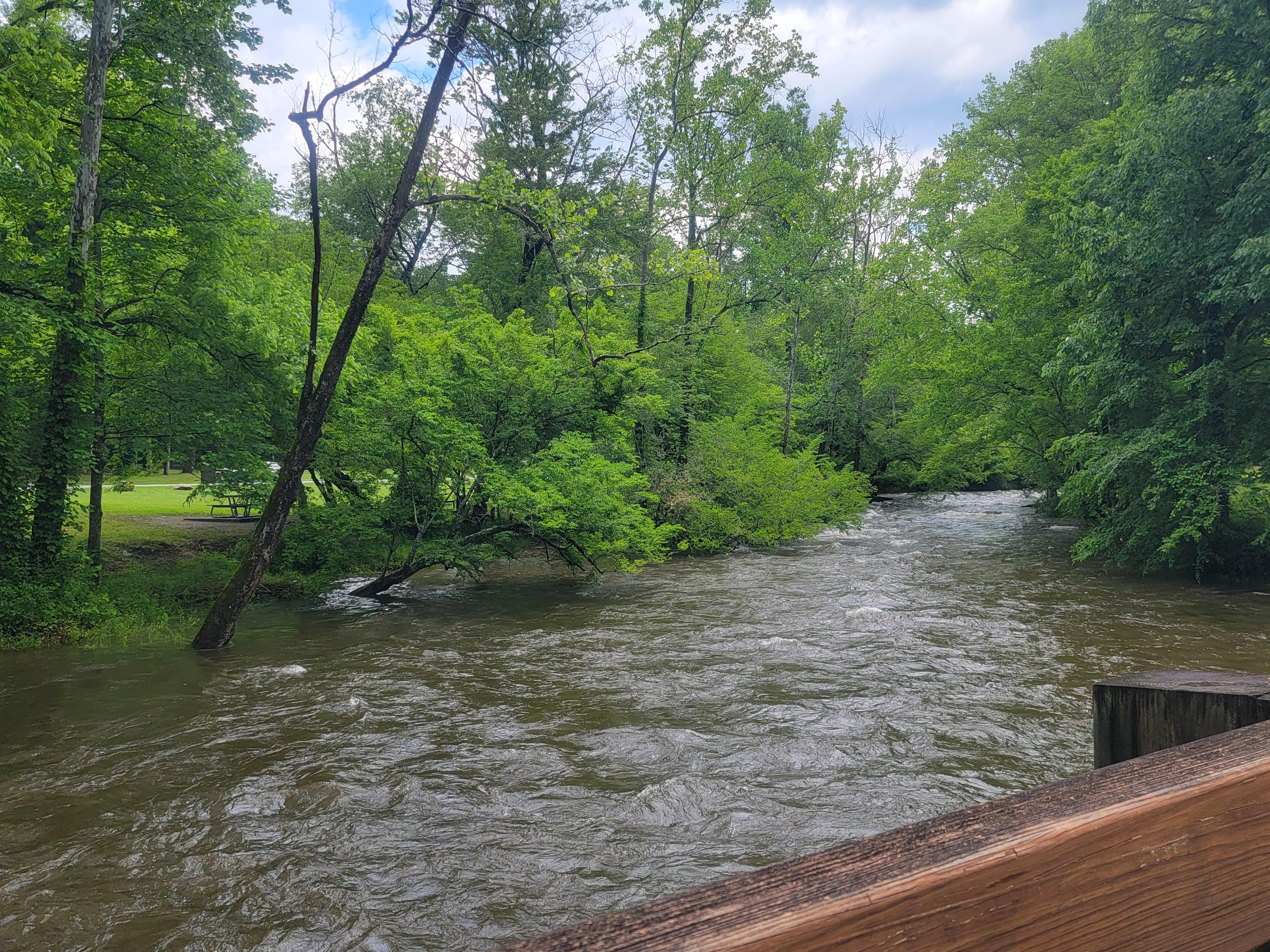 Deep Creek Campground campground photo