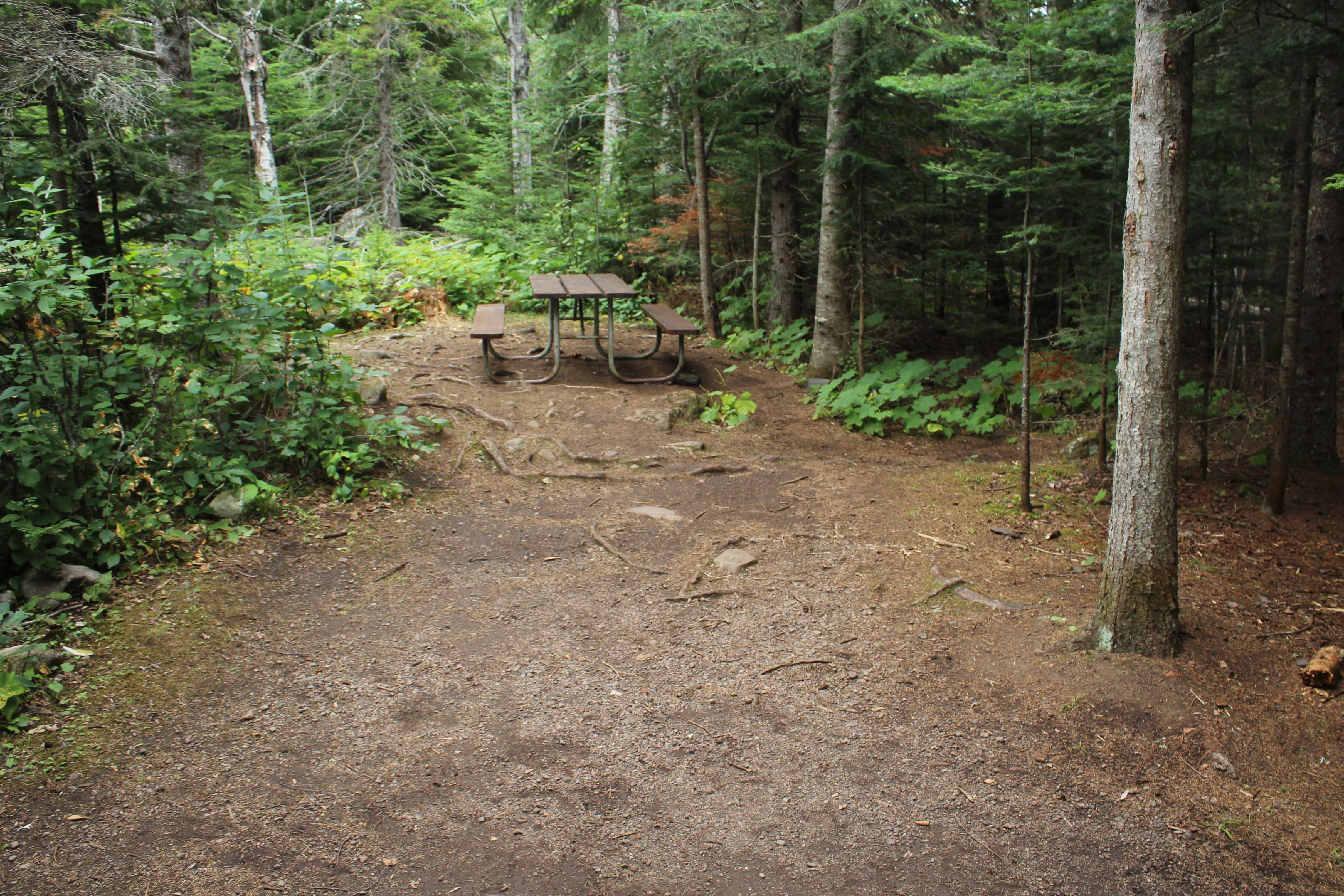 Daisy Farm Campground campground photo