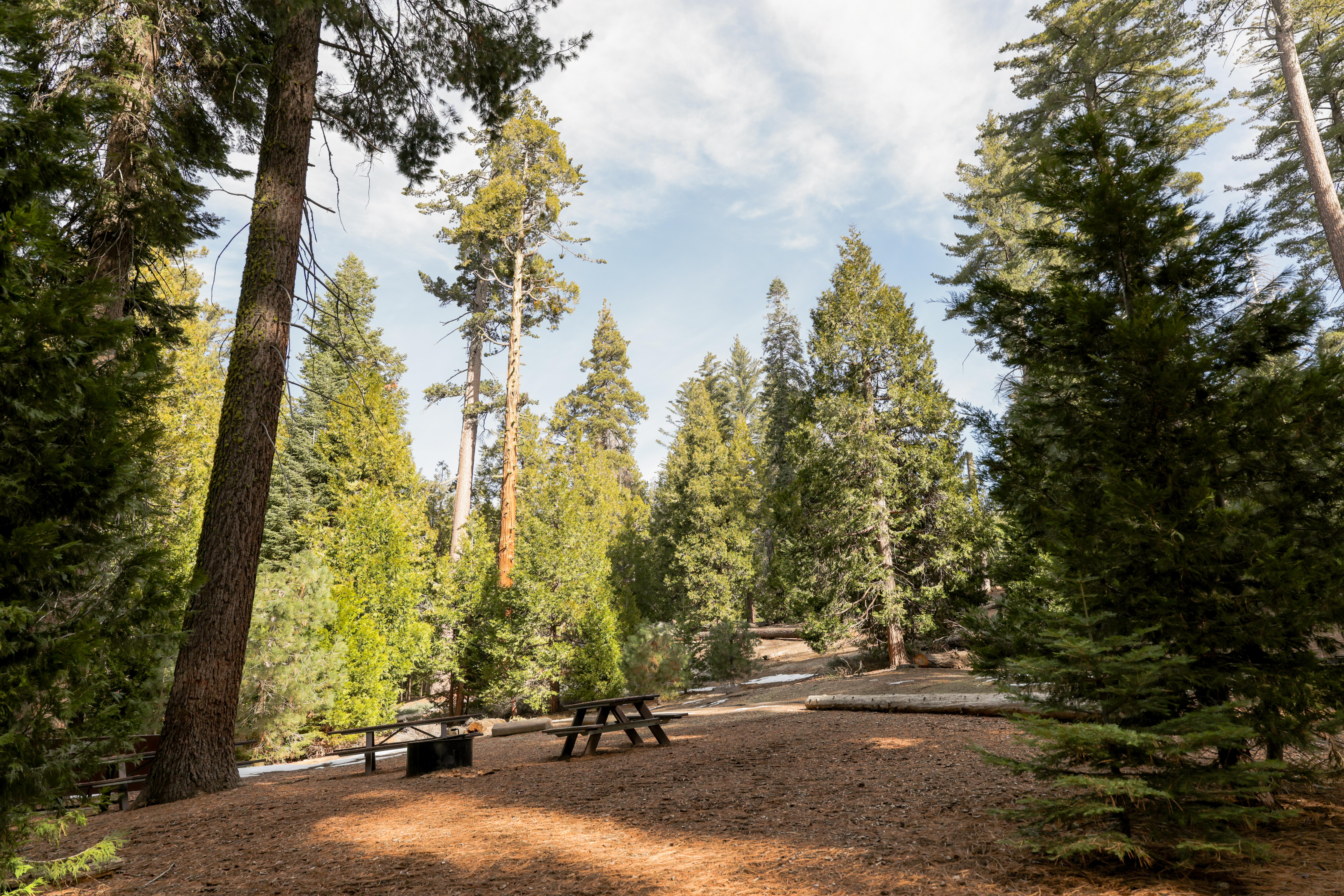 Crystal Springs Campground campground photo