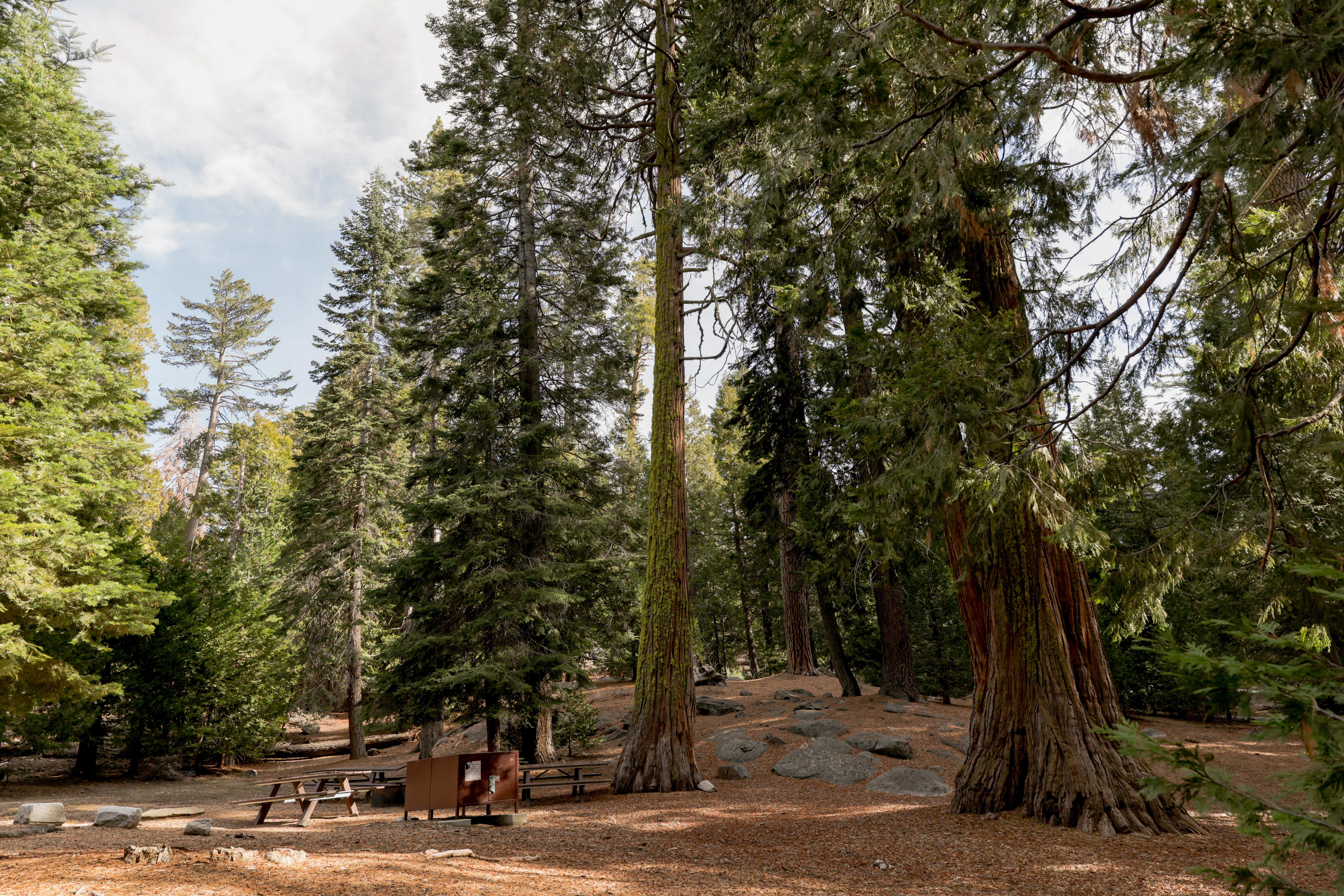 Crystal Springs Campground campground photo