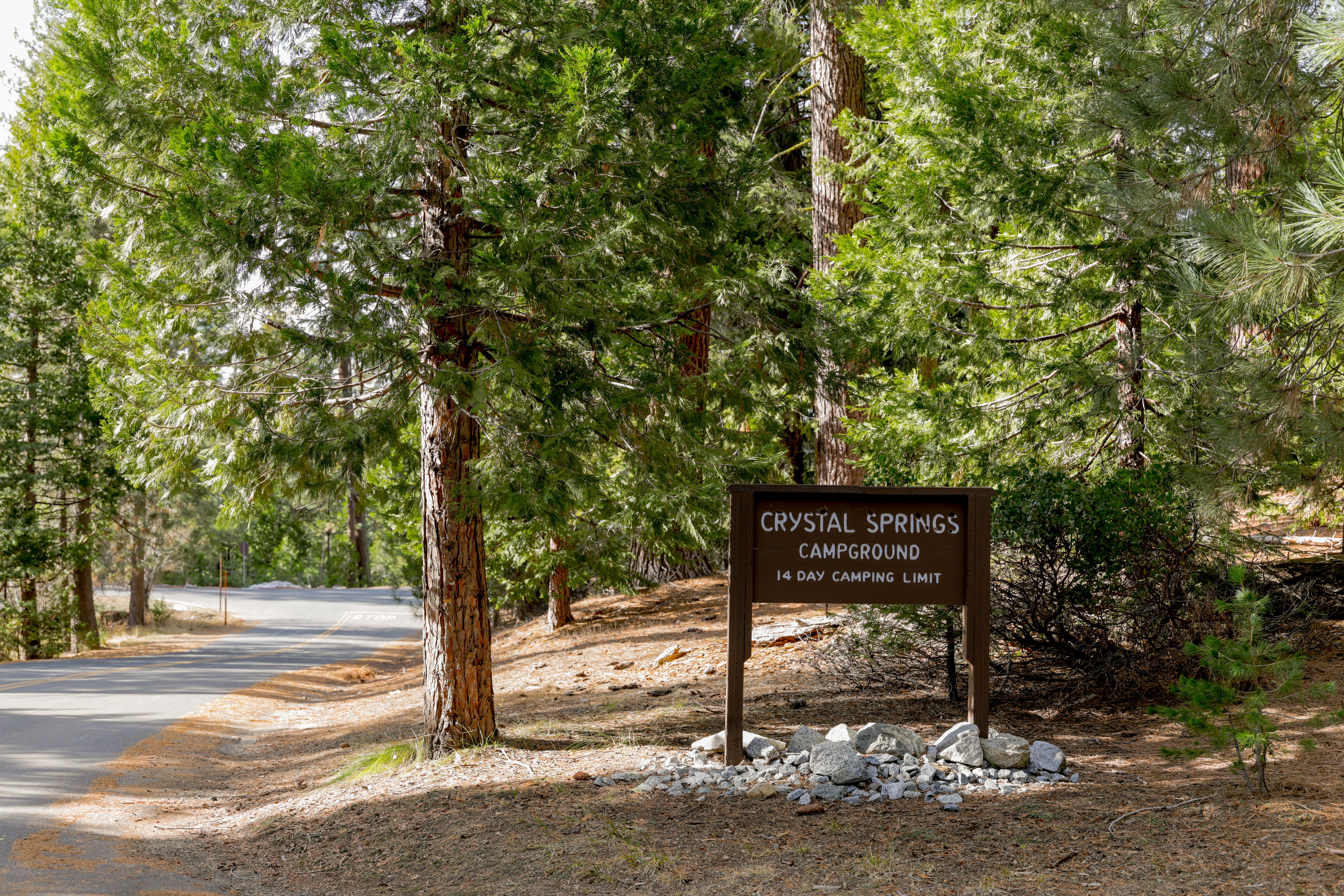 Crystal Springs Campground campground photo