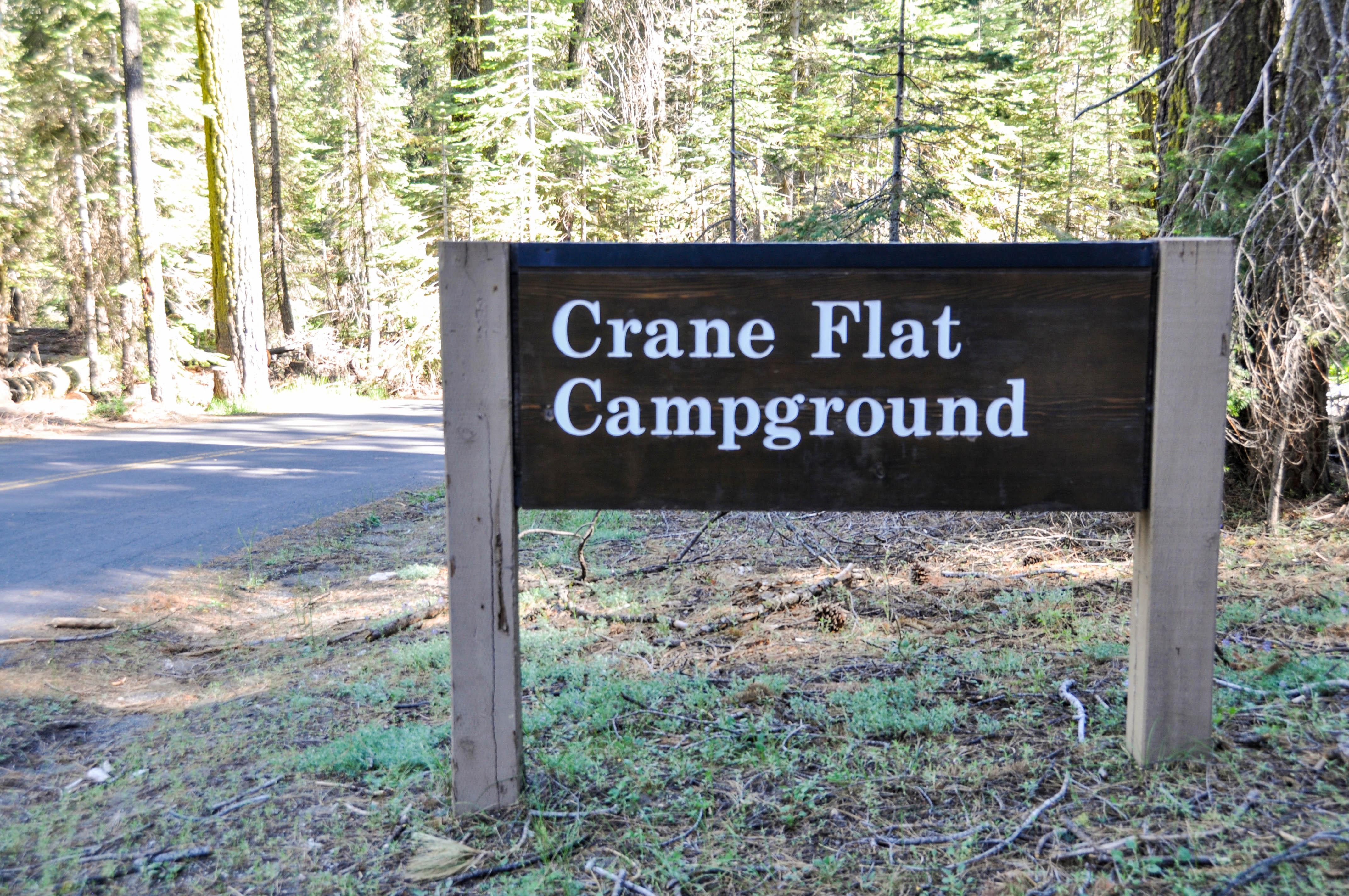 Crane Flat Campground campground photo