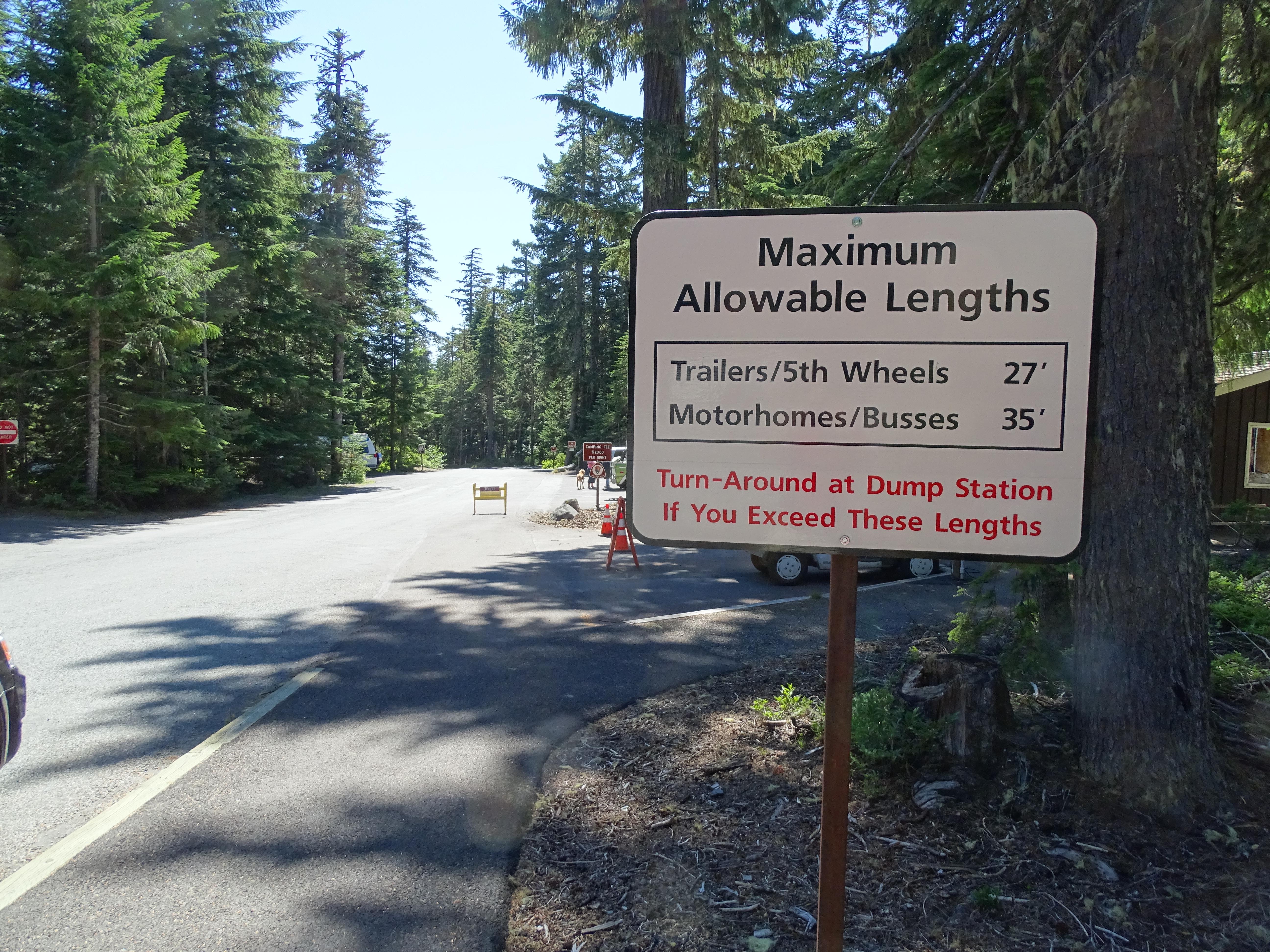 Cougar Rock Campground campground photo