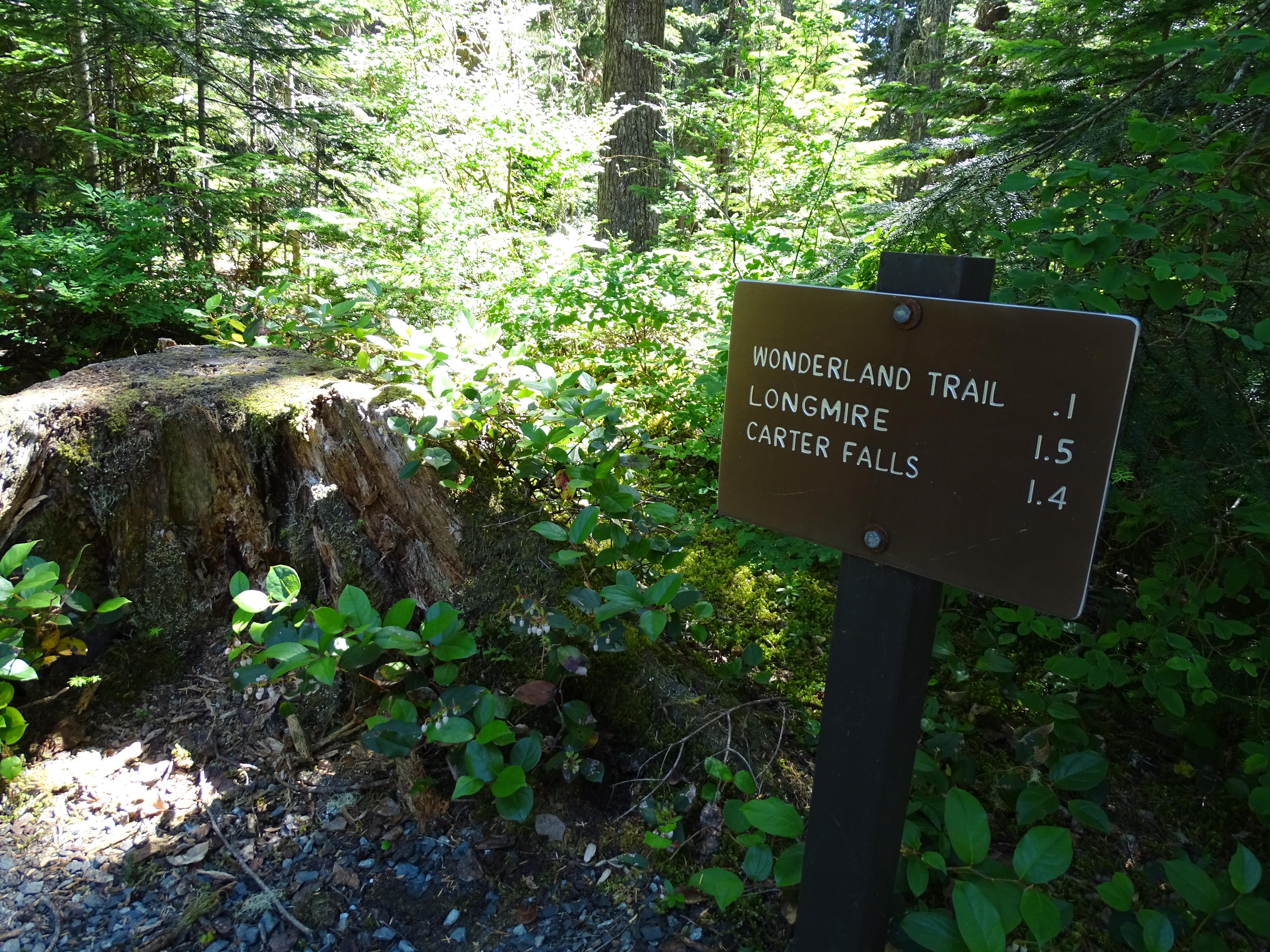Cougar Rock Campground campground photo