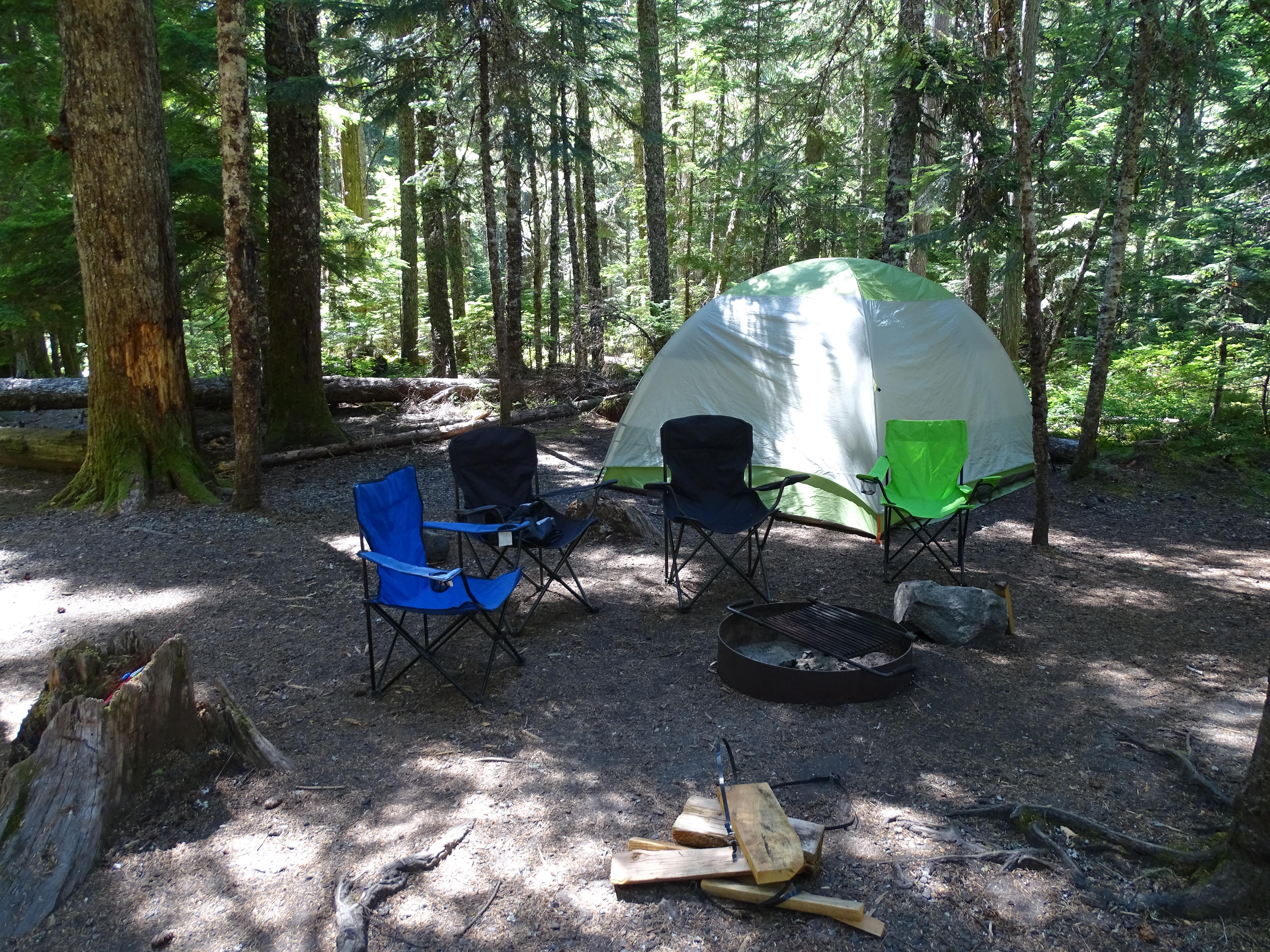 Cougar Rock Campground campground photo