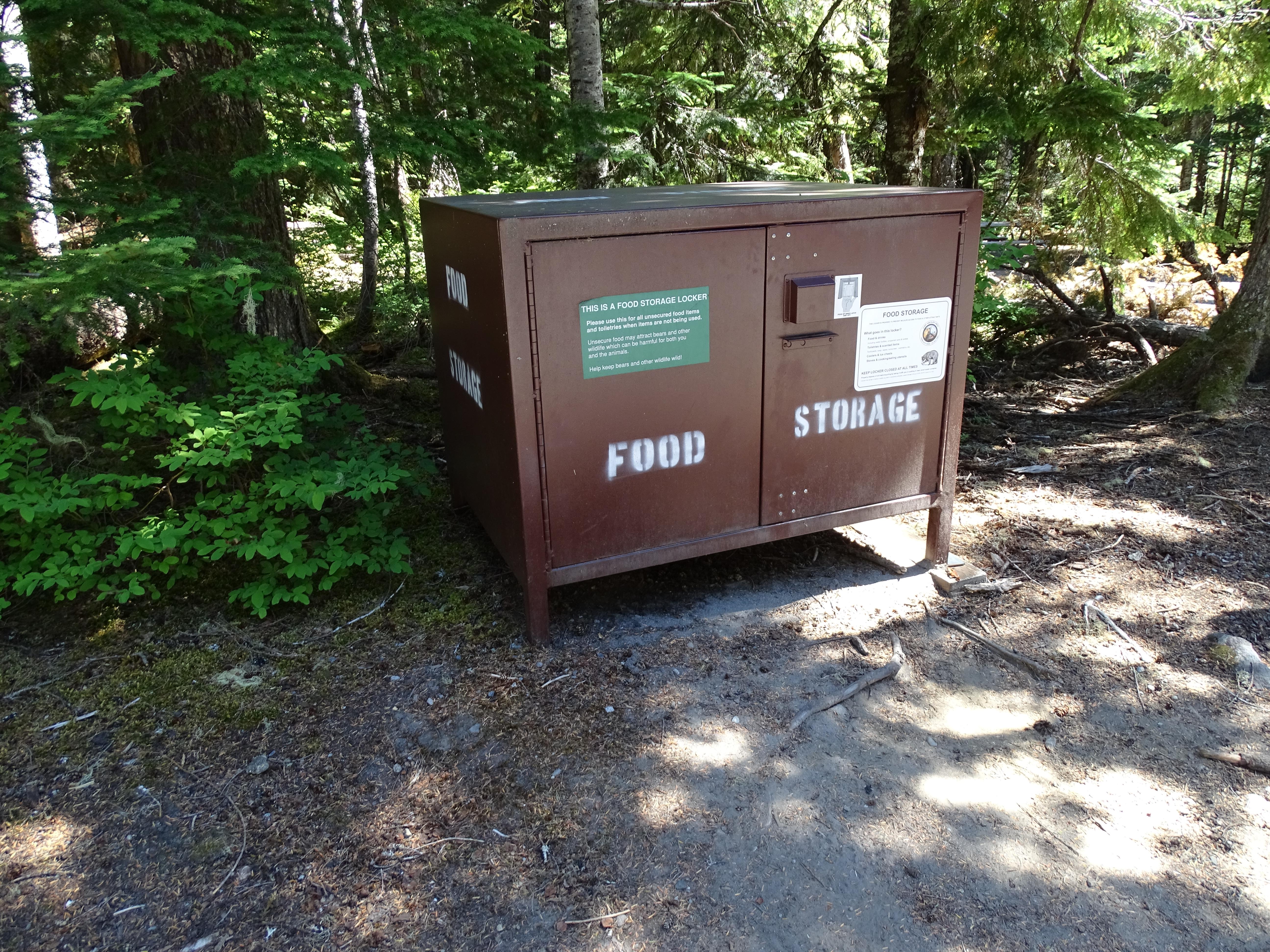Cougar Rock Campground campground photo