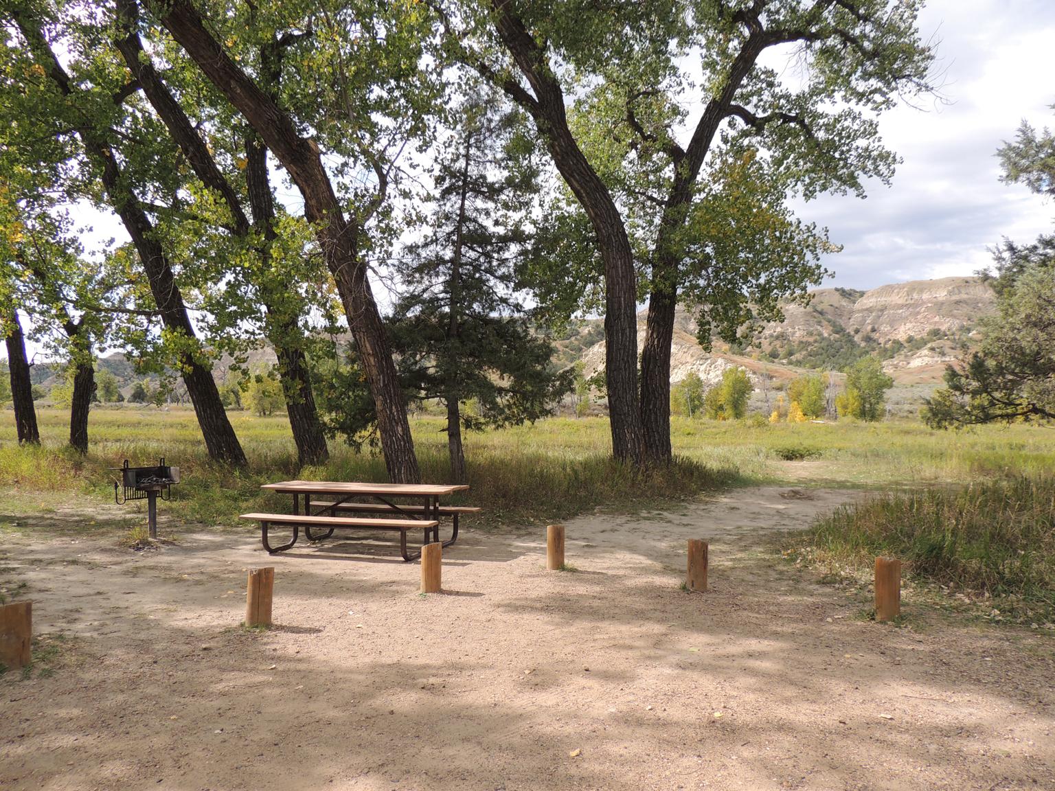 Cottonwood Campground campground photo
