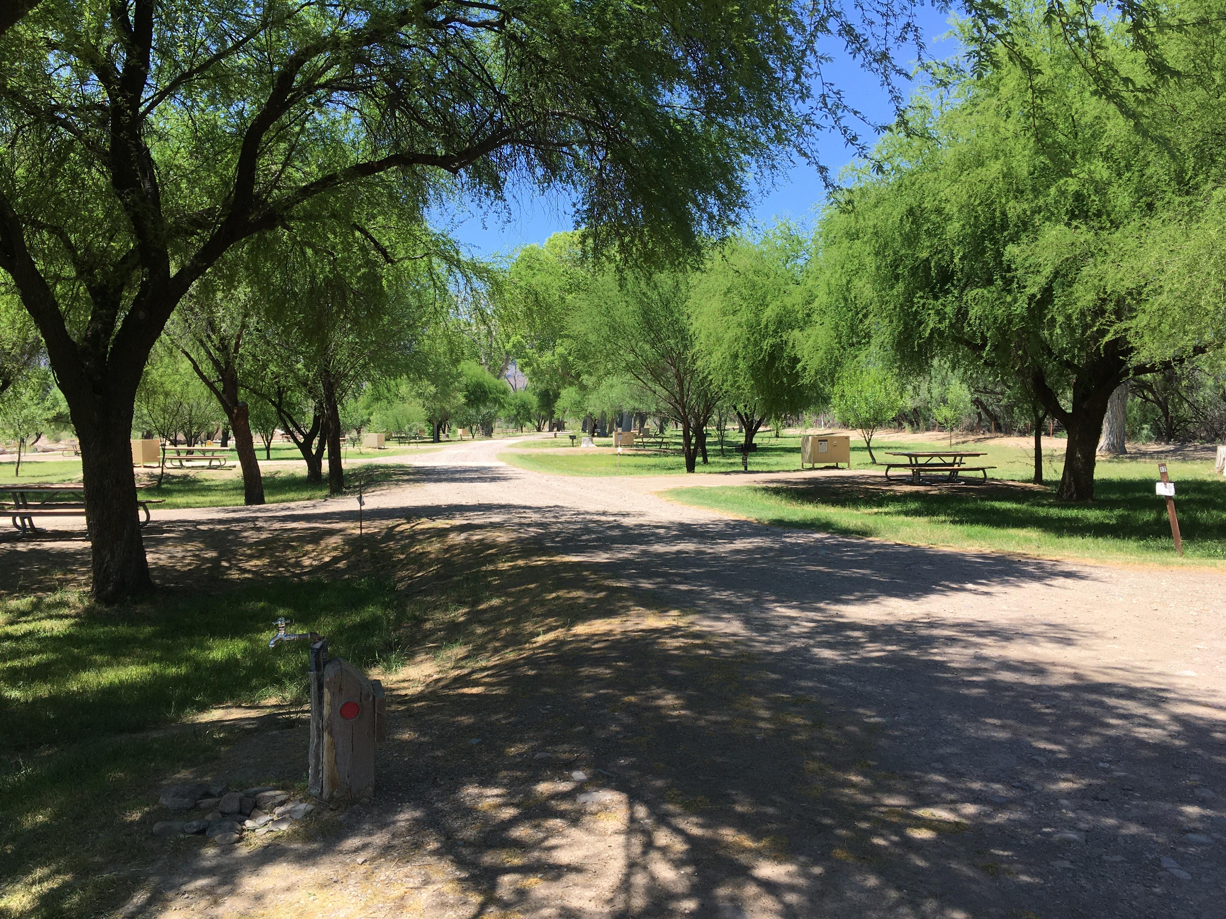 Cottonwood Campground campground photo