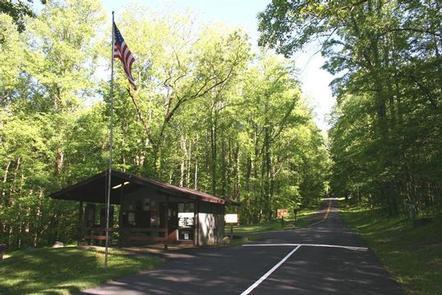 Cosby Campground campground photo