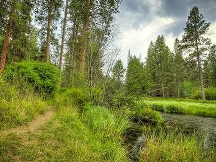 CAMP SHERMAN CAMPGROUND campground photo