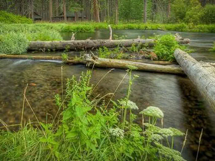 CAMP SHERMAN CAMPGROUND campground photo