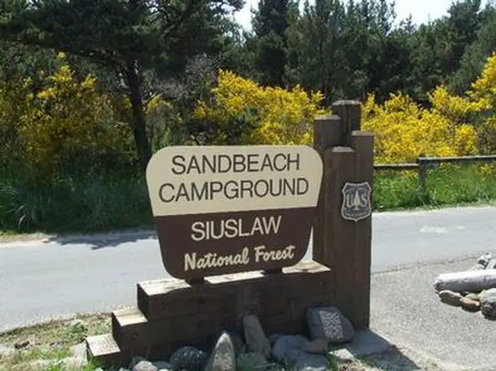 Sandbeach Campground - Sand Lake Recreation Area campground photo