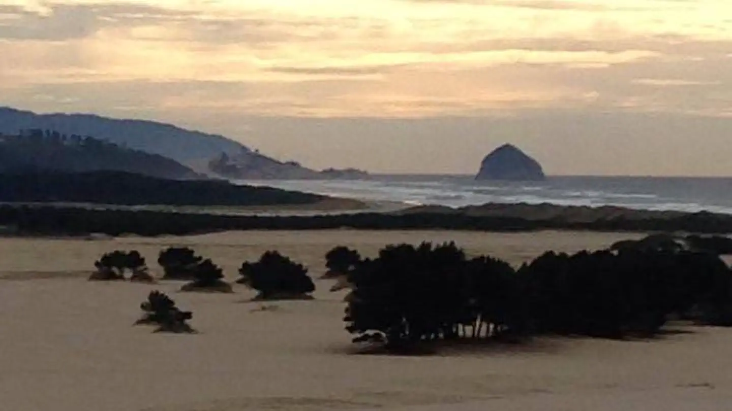 Sandbeach Campground - Sand Lake Recreation Area campground photo