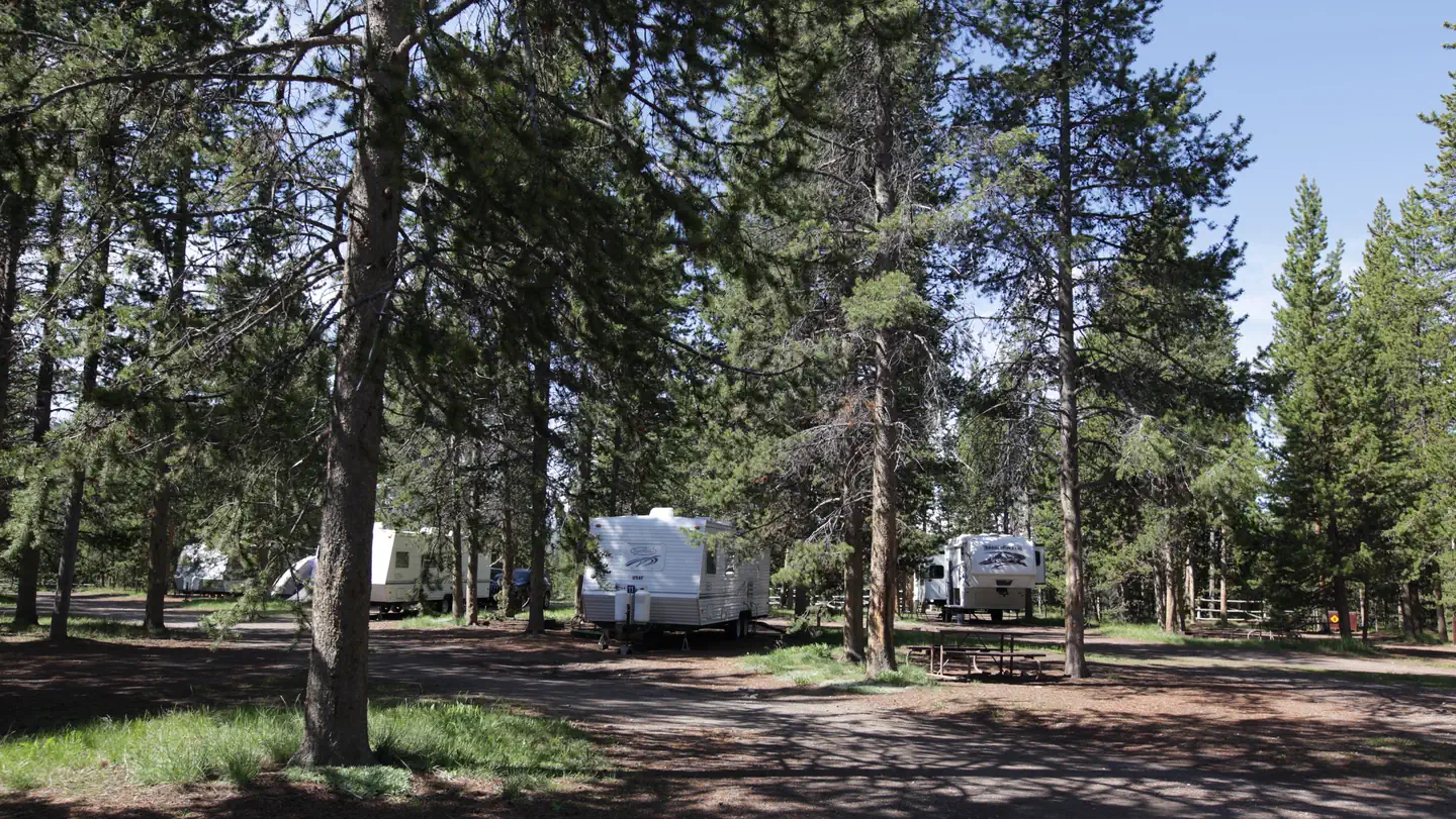 Headwaters Campground at Flagg Ranch campground photo