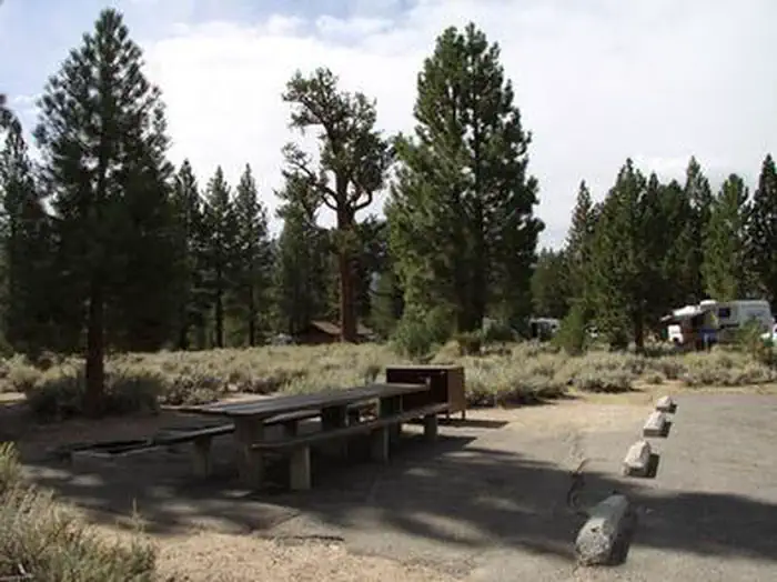ROBINSON CREEK NORTH campground photo