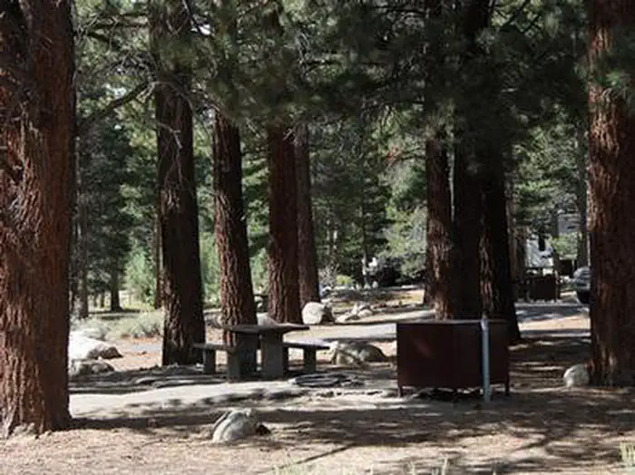 ROBINSON CREEK NORTH campground photo