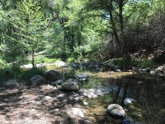 MIDDLE LION CAMPGROUND campground photo