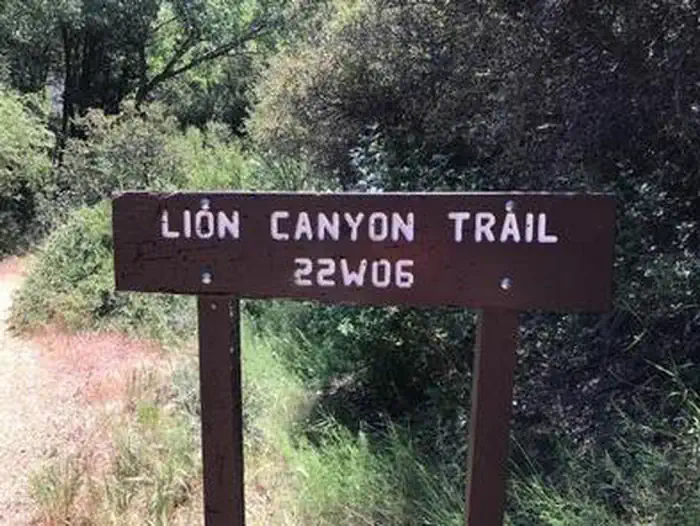 MIDDLE LION CAMPGROUND campground photo