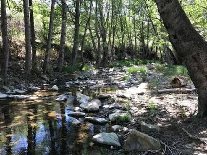MIDDLE LION CAMPGROUND campground photo