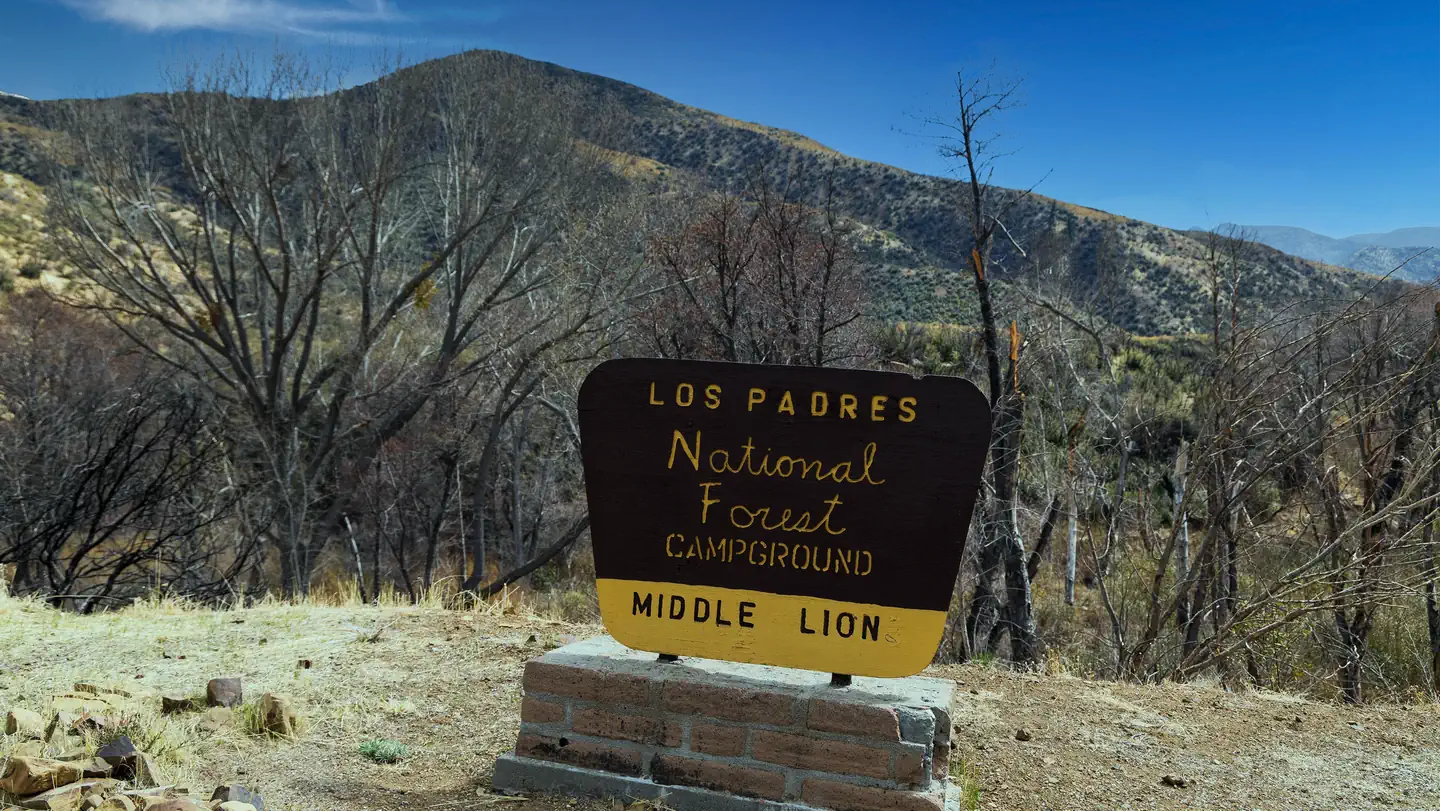 MIDDLE LION CAMPGROUND campground photo