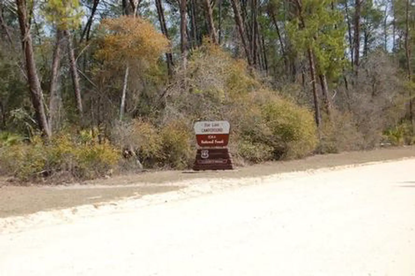 DOE LAKE GROUP SITE campground photo