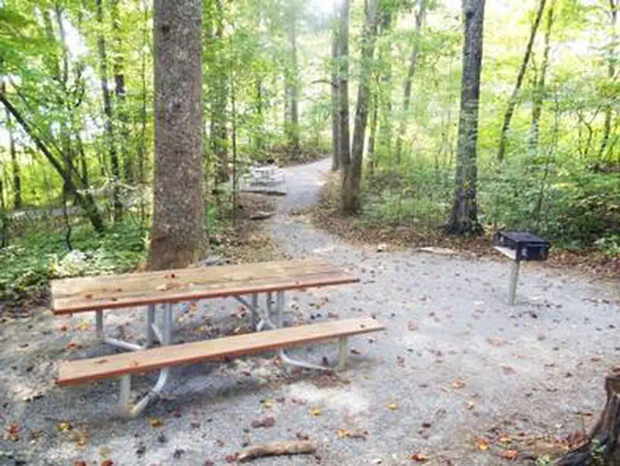MORGANTON POINT campground photo