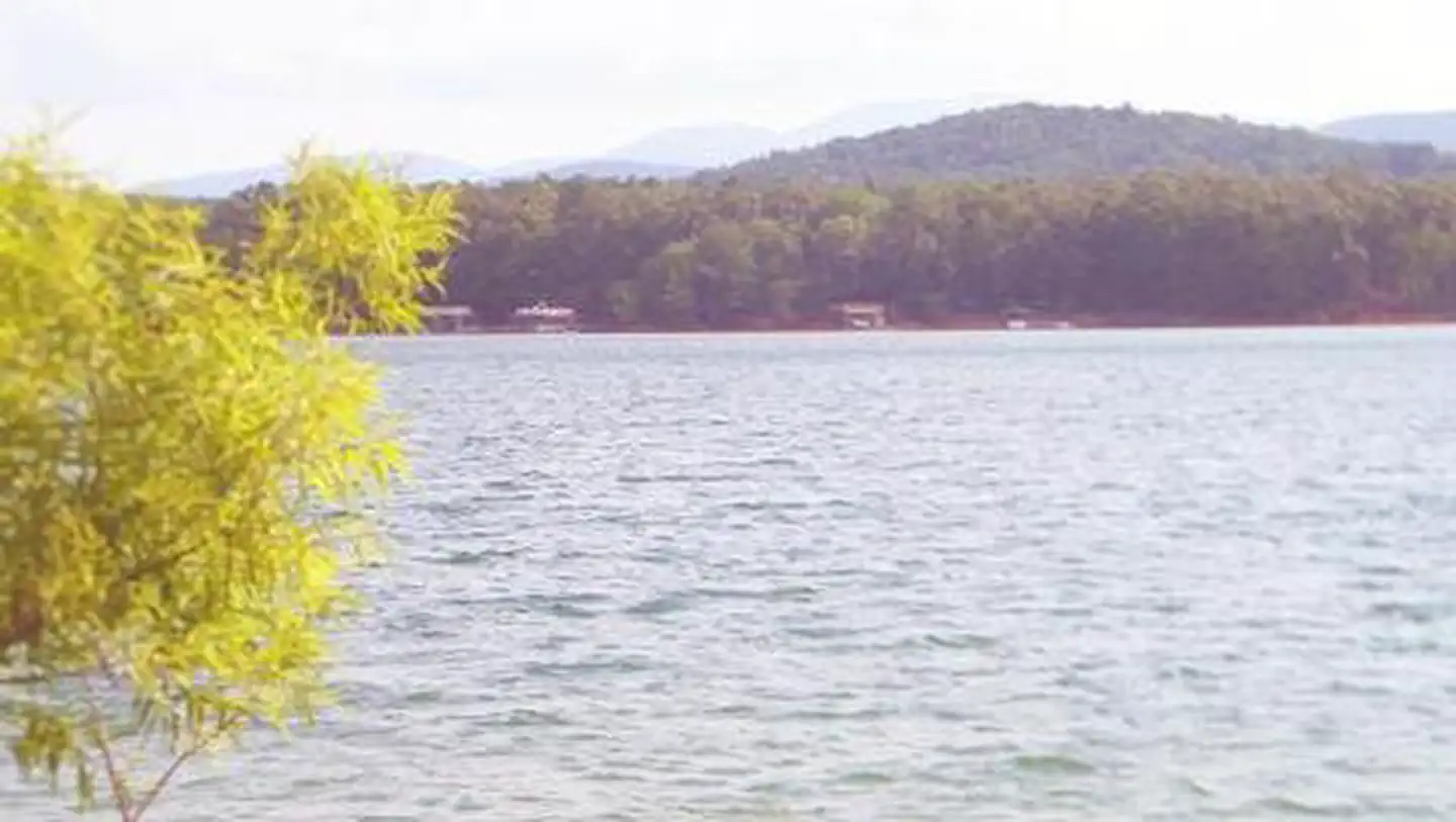 MORGANTON POINT campground photo