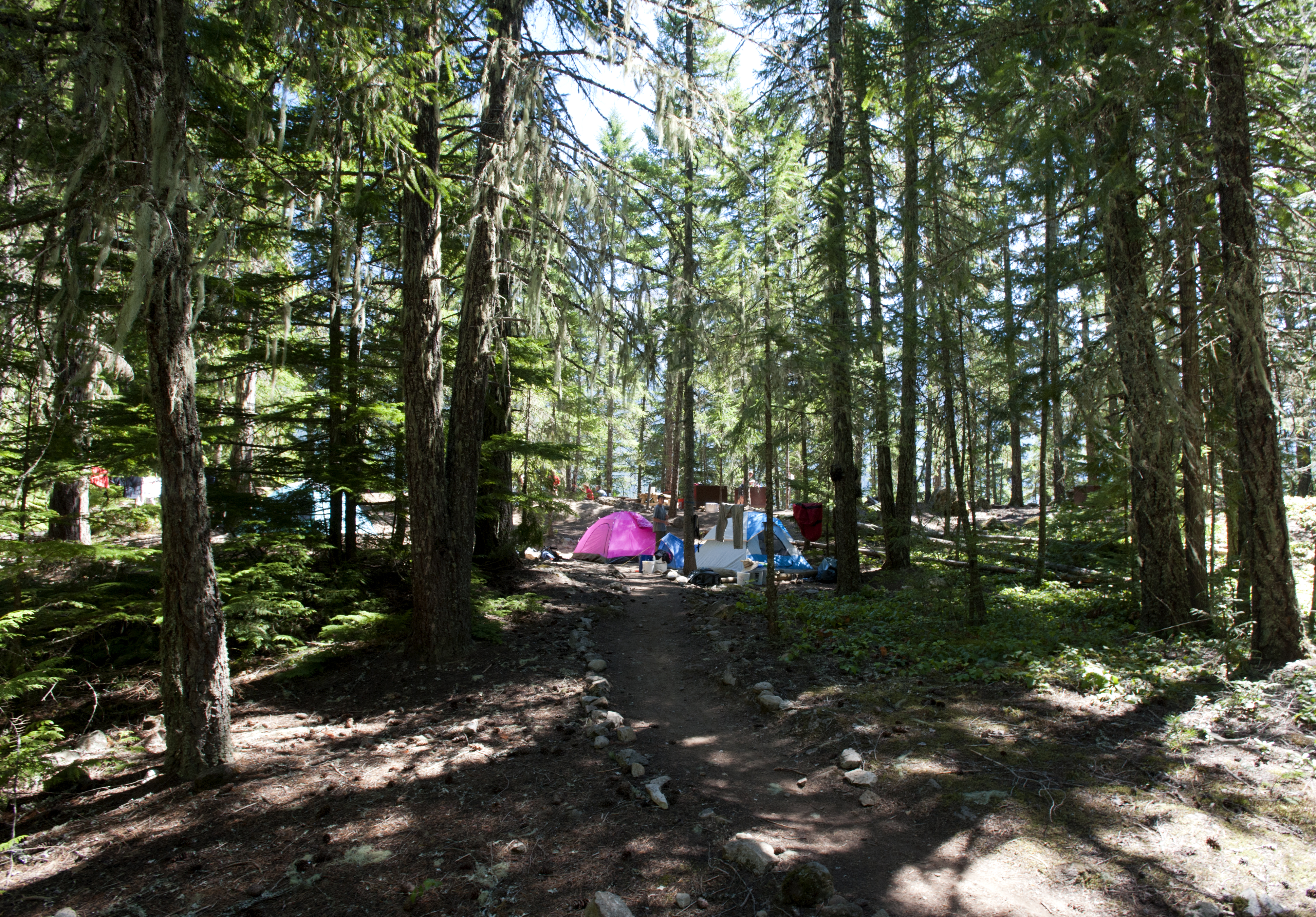 Colonial Creek North Campground campground photo