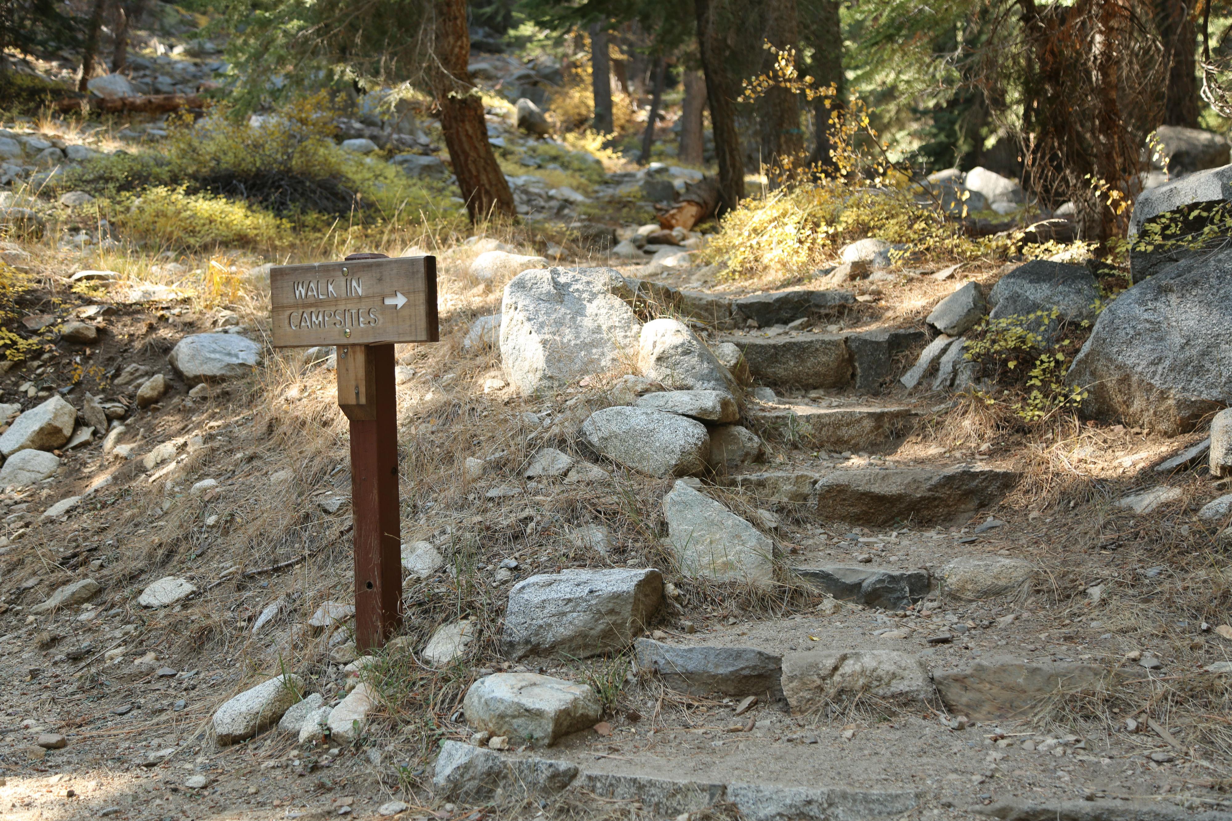 Cold Springs Campground campground photo