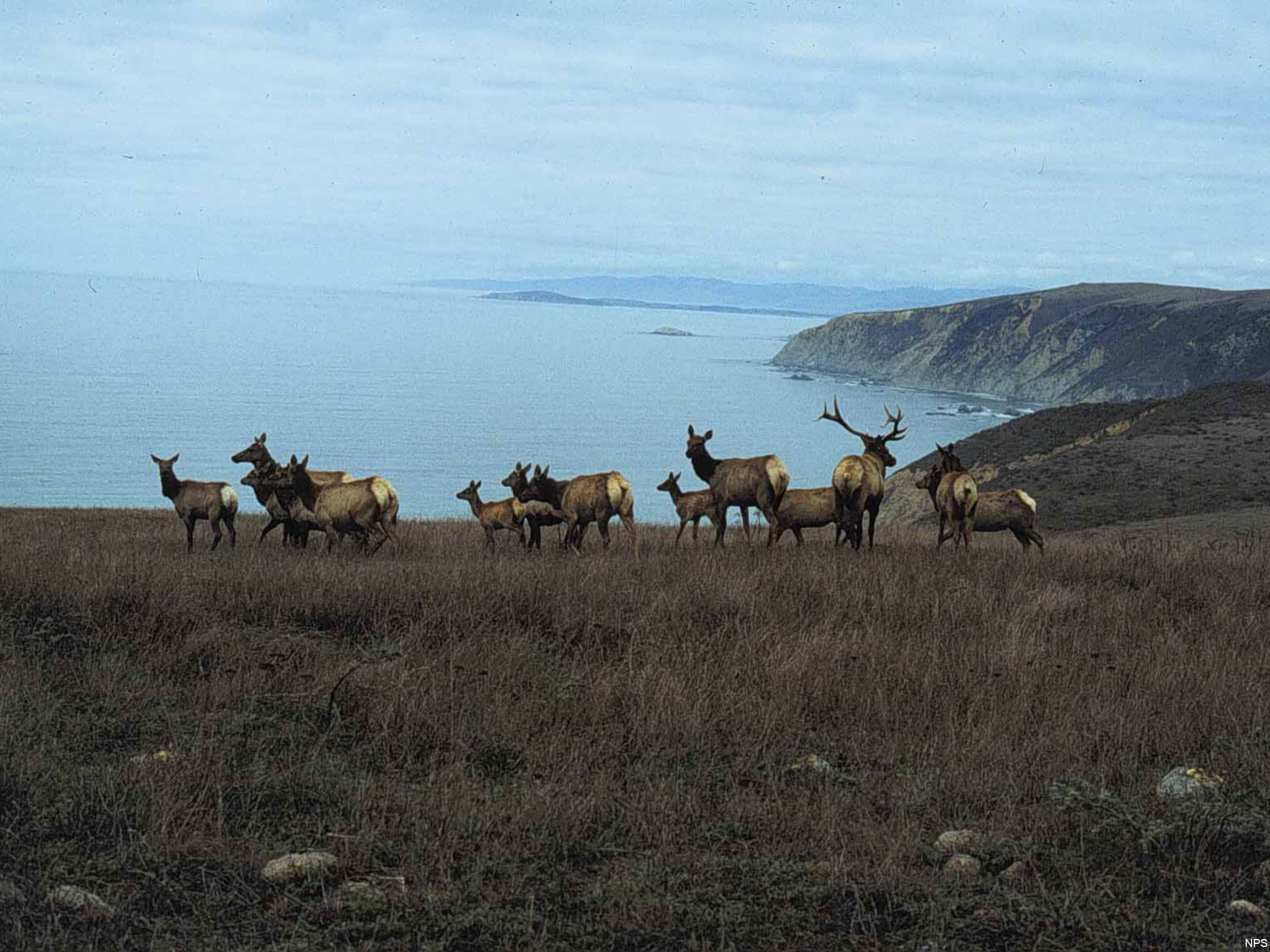 Coast Campground campground photo