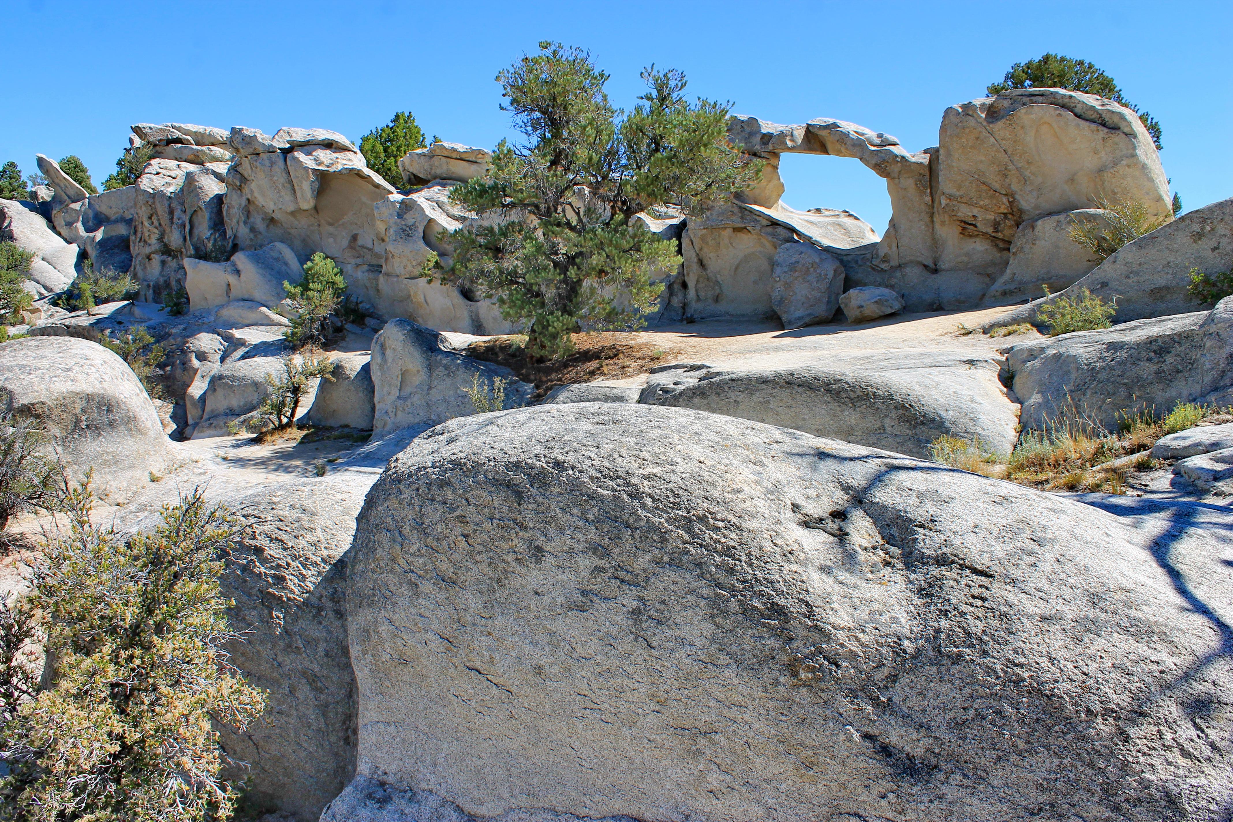 City of Rocks Campground campground photo