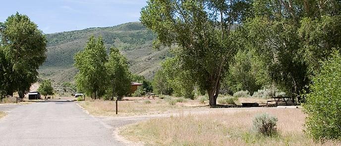 Cimarron Campground campground photo