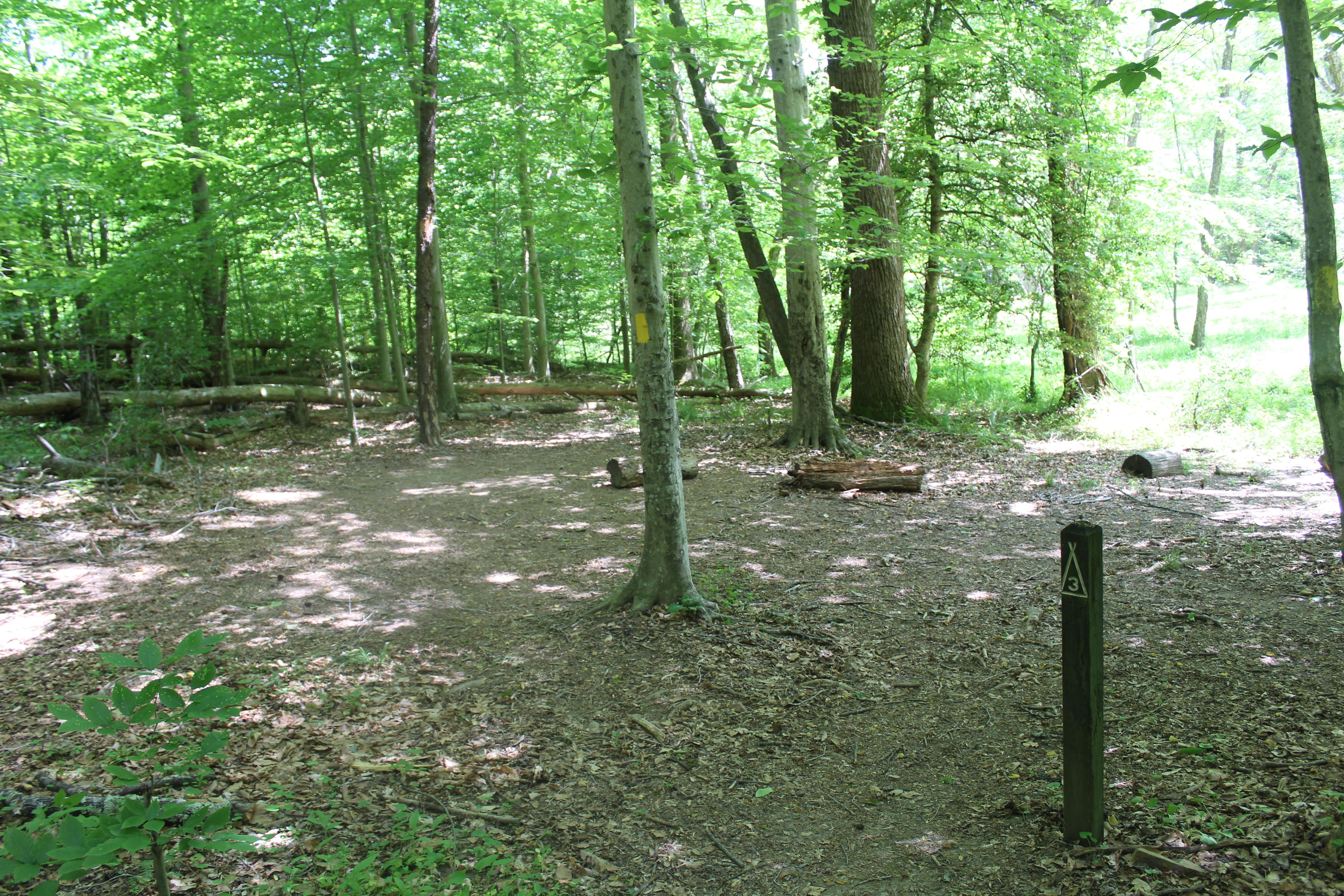 Chopawamsic Backcountry Area campground photo
